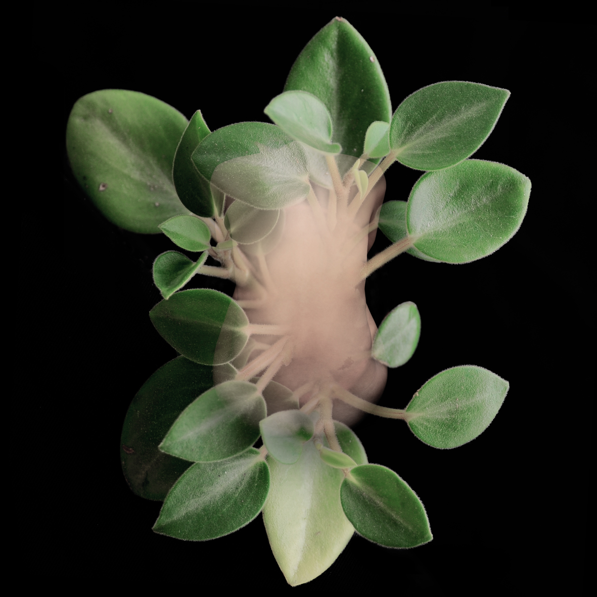 GONG ZONE 1, 2015, tirage sur diasec, 100 x 100 cm ©Ahn Sun Mi