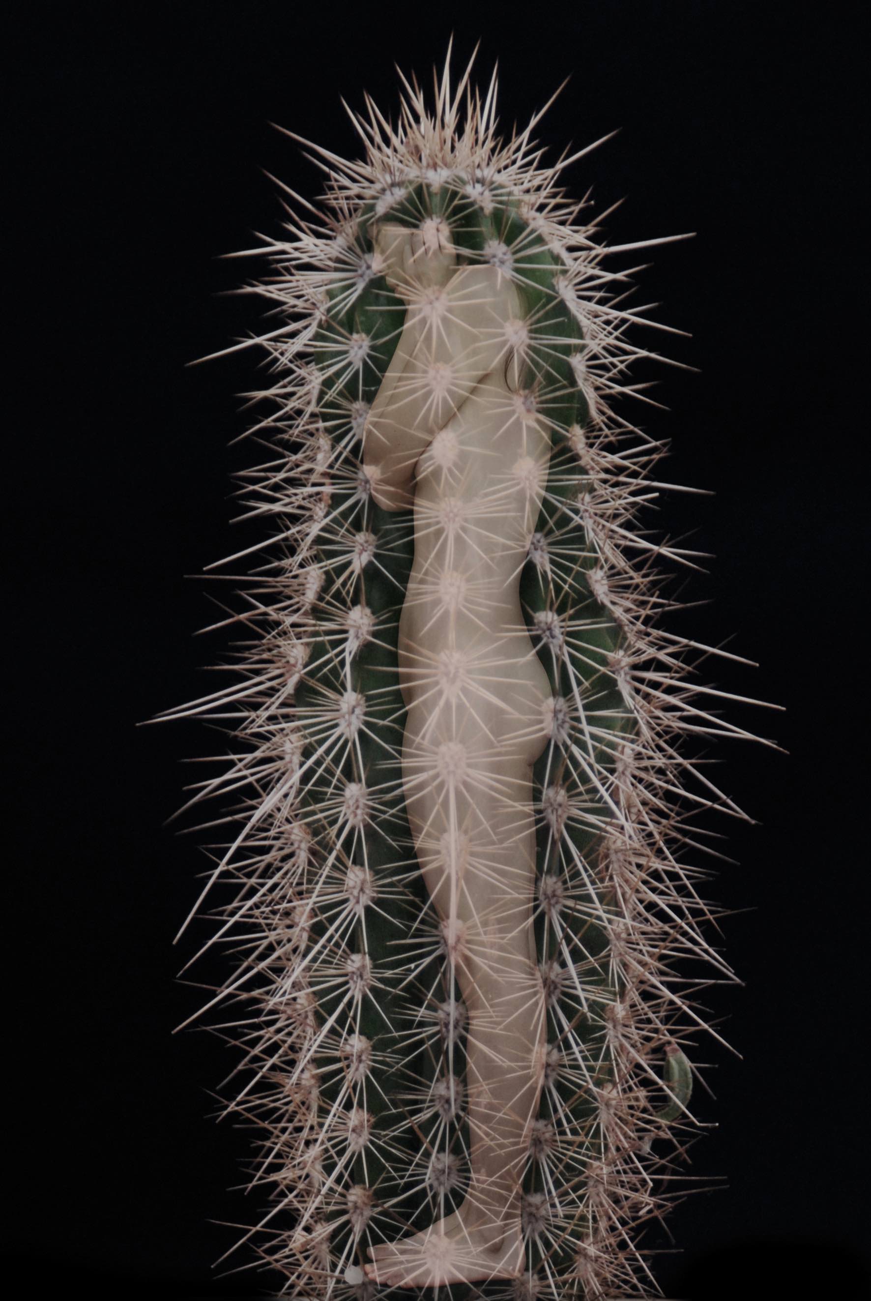 AUTO PORTRAIT, 2012, tirage numérique sur diasec, 150 x 100 cm ©Ahn Sun Mi