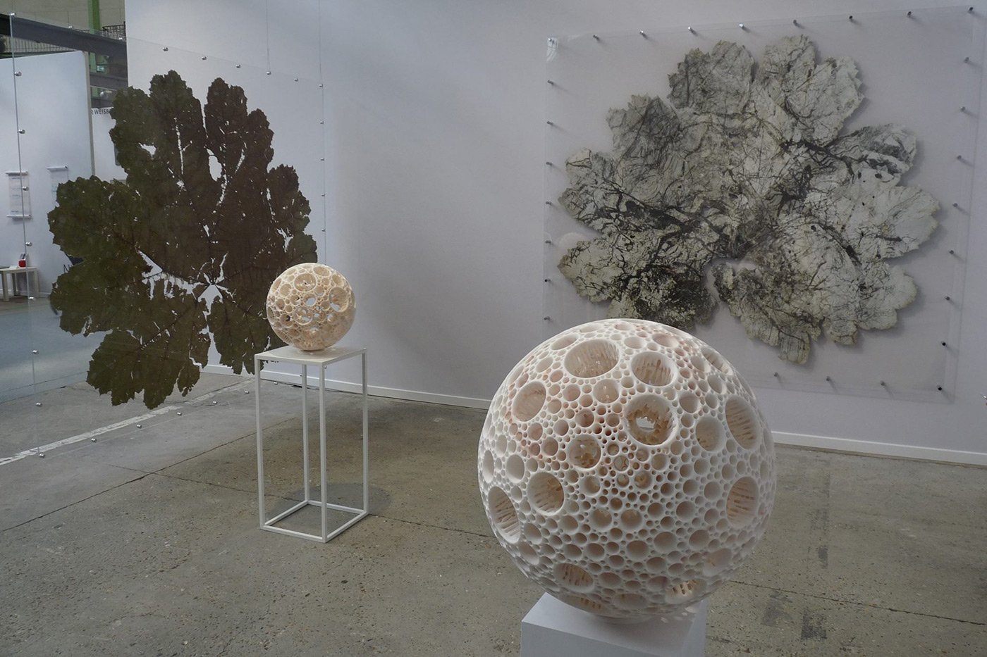 Vue d'exposition © Loo & Lou Gallery