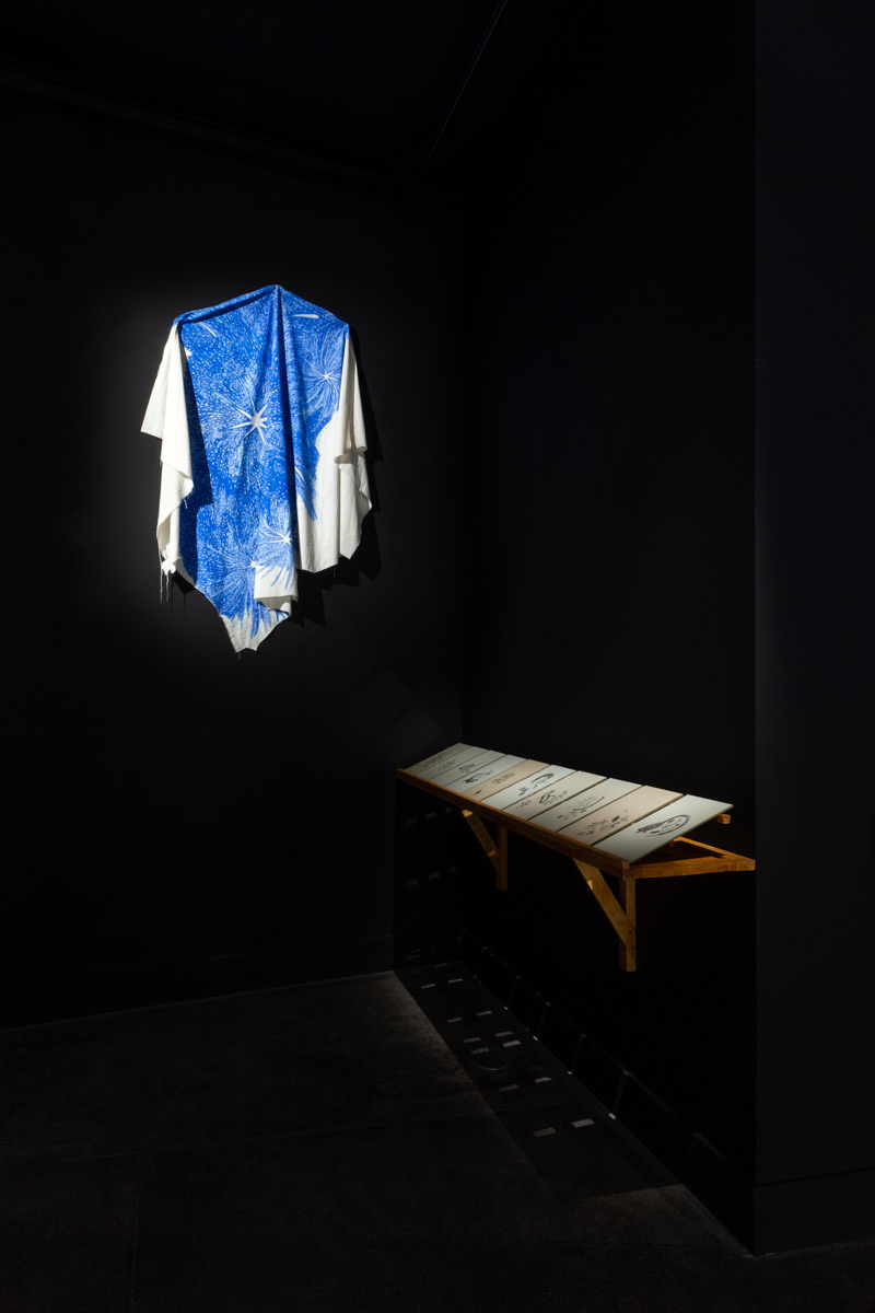 Vu de l'exposition "Carte Blanche 01" à Clara Daquin © Émilie Mathé Nicolas - Loo & Lou Gallery