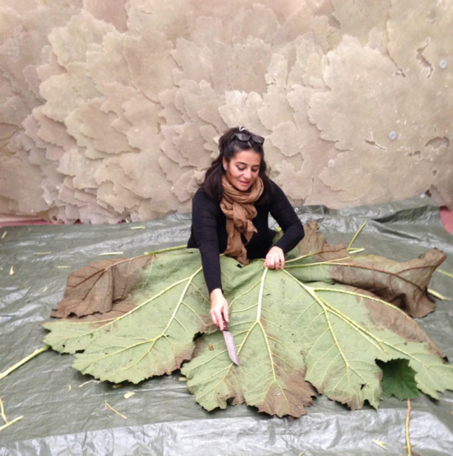 © Dominique Lacloche