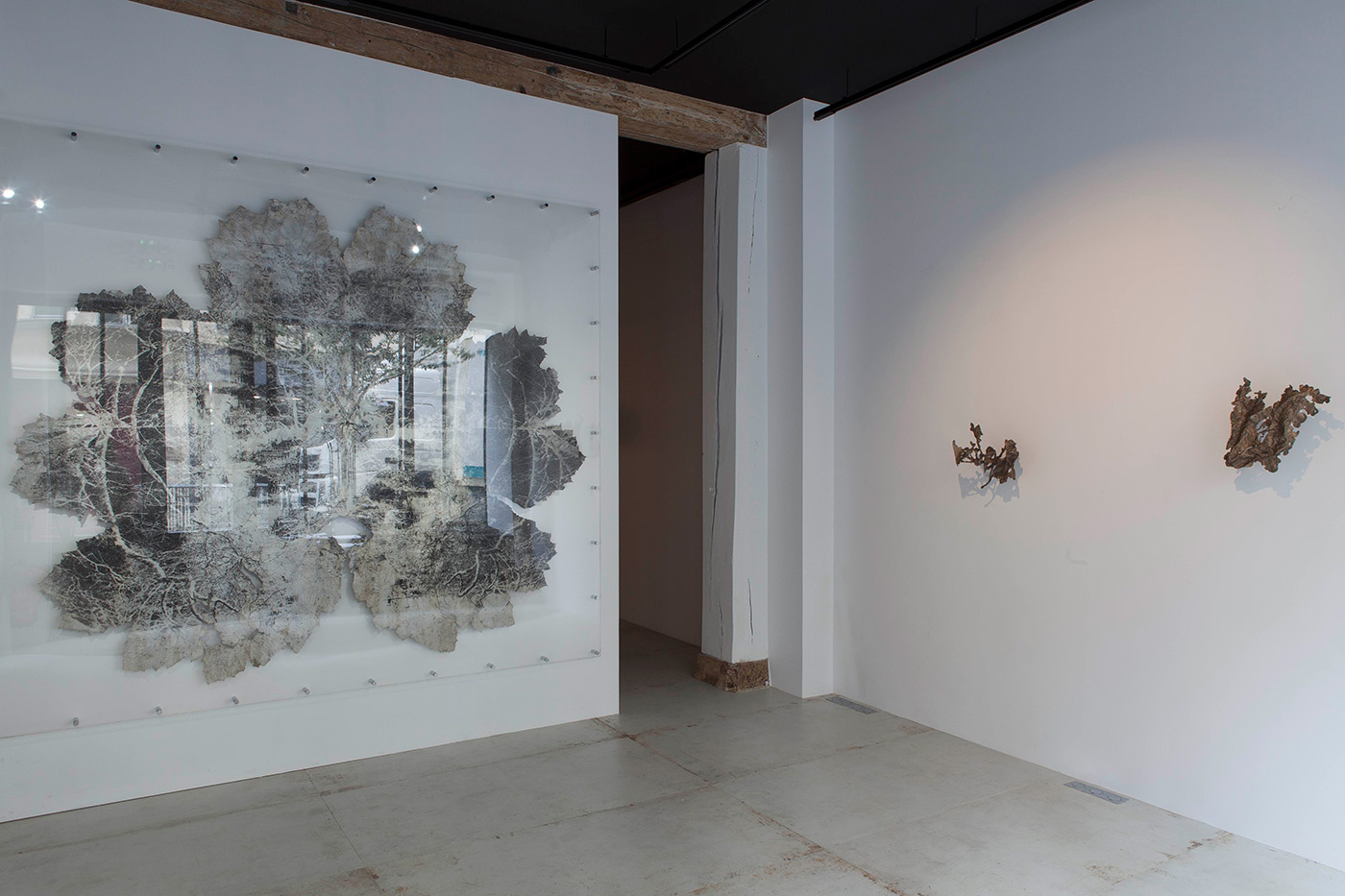 Vu d'exposition © Émilie Mathé Nicolas / Dominique Lacloche