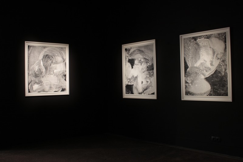 Vue de l'exposition "l'Agneau Mystique", Jean Claude Wouters, 2016