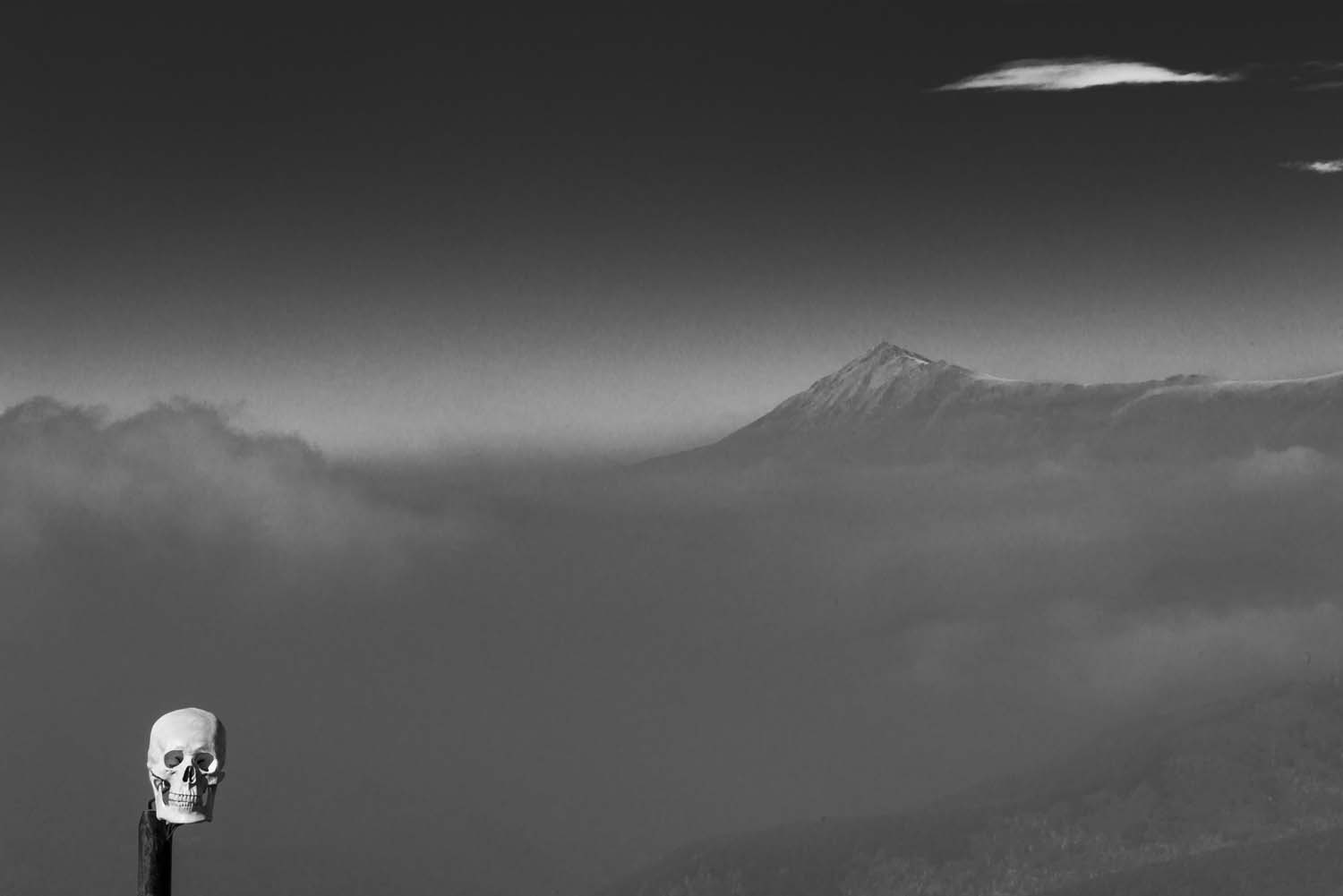 Le silence – de la série Vanités, tirage Lambda sur papier chromogène, 120 x 80 cm, photographie 2017, tirage 2018 © JC Ballot