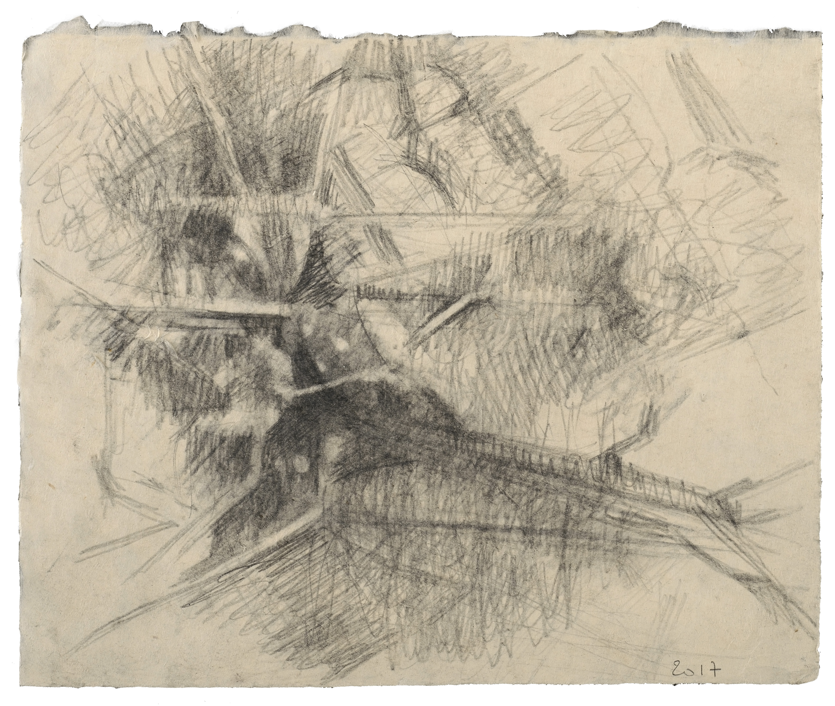 Reflets (2017) Crayon sur papier, 34 x 38,5cm © Loo & Lou Gallery