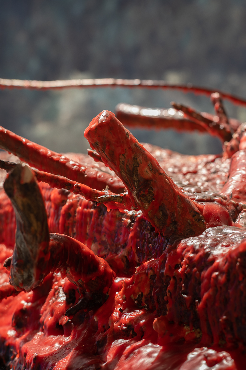 Détail Rive de Narcisse, cire originale, 189 x 129 x 38 cm, 2018, présenté lors de Né du Limon © Loo & Lou Gallery