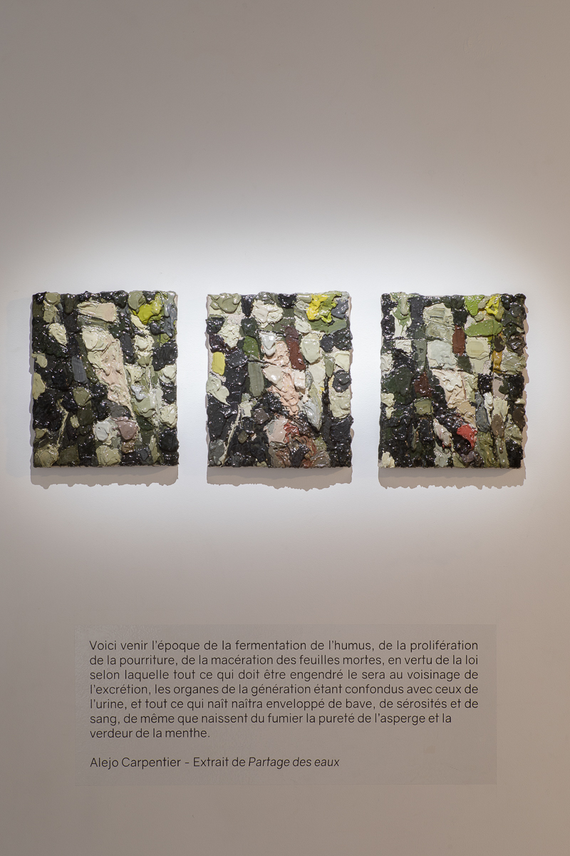 Vue d'exposition, Né du Limon, Paul de Pignol © Loo & Lou Gallery