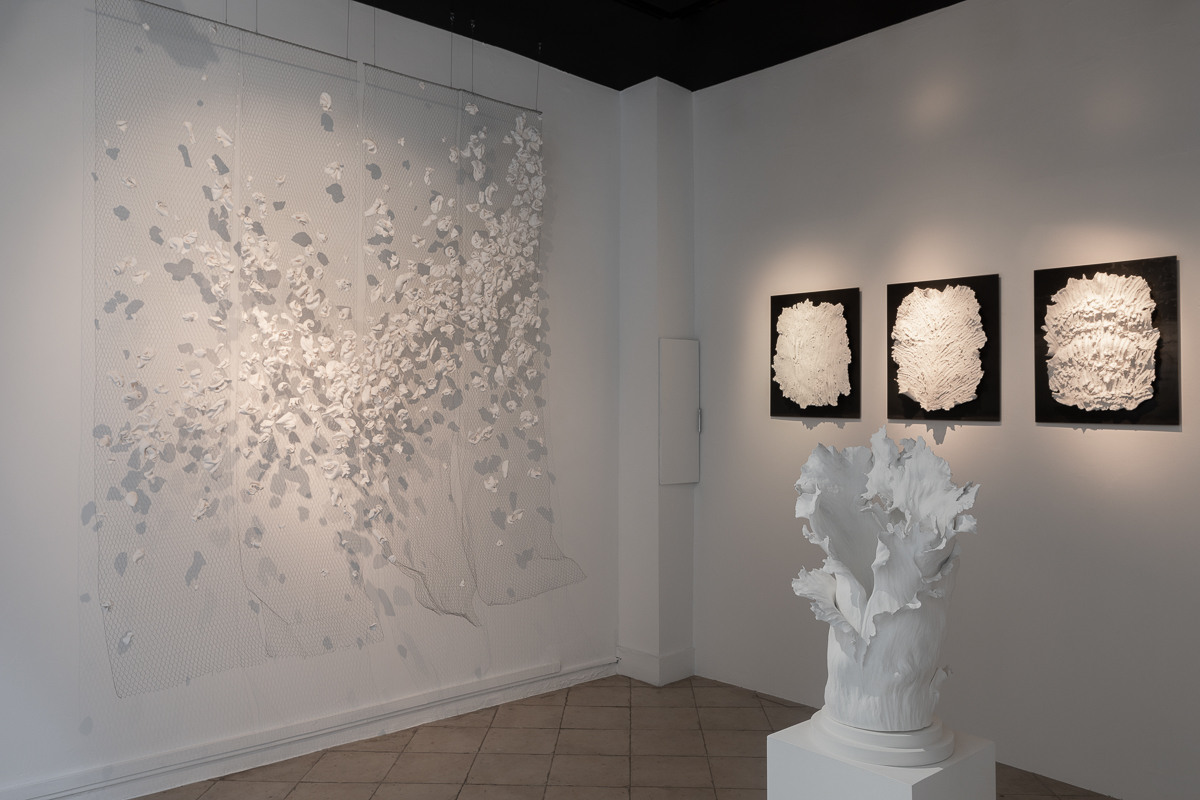 Vue de l'exposition "Nature Fragile" de Louise Frydman | Image © Emilie Mathé Nicolas / Loo & Lou Gallery