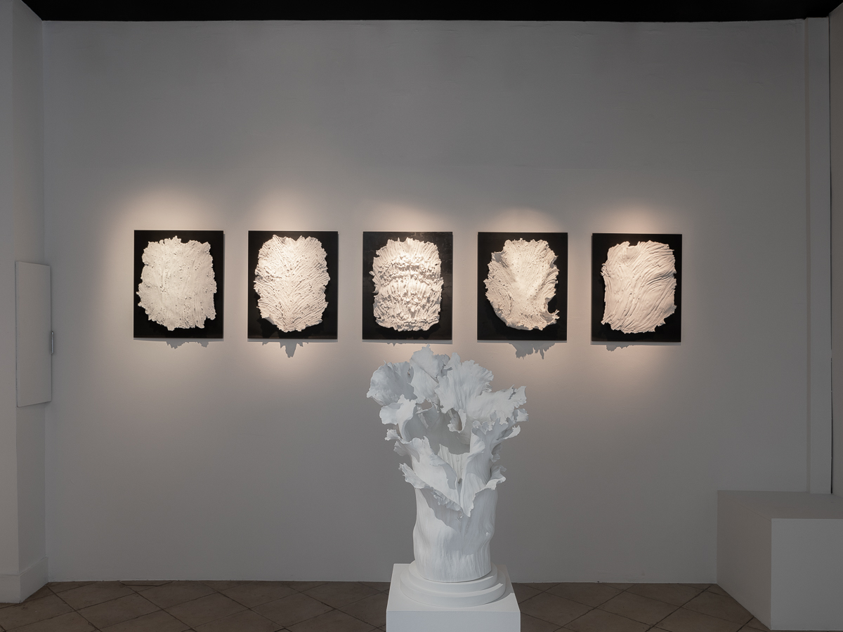 Vue de l'exposition "Nature Fragile" de Louise Frydman | Image © Emilie Mathé Nicolas / Loo & Lou Gallery