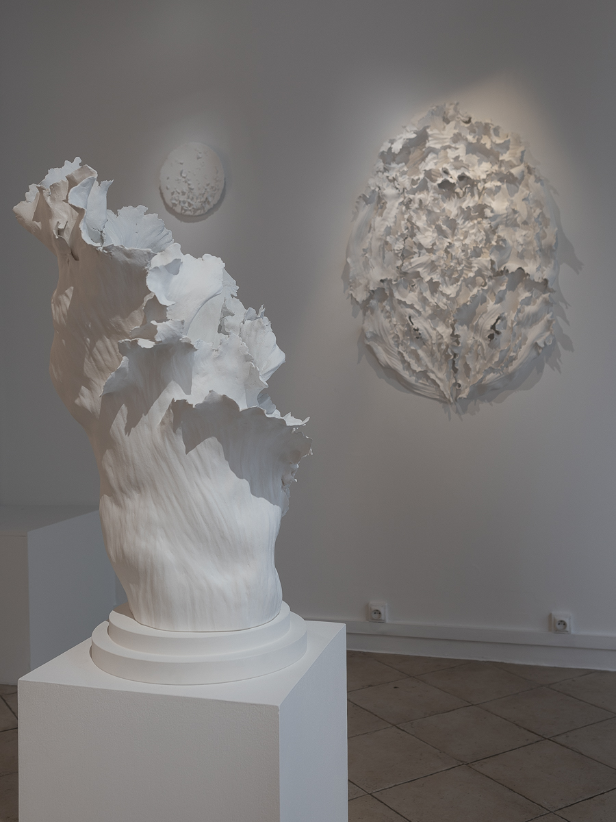 Vue de l'exposition "Nature Fragile" de Louise Frydman | Image © Emilie Mathé Nicolas / Loo & Lou Gallery