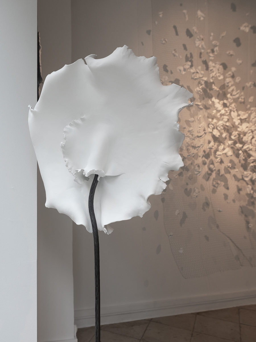 Vue de l'exposition "Nature Fragile" de Louise Frydman | Image © Emilie Mathé Nicolas / Loo & Lou Gallery