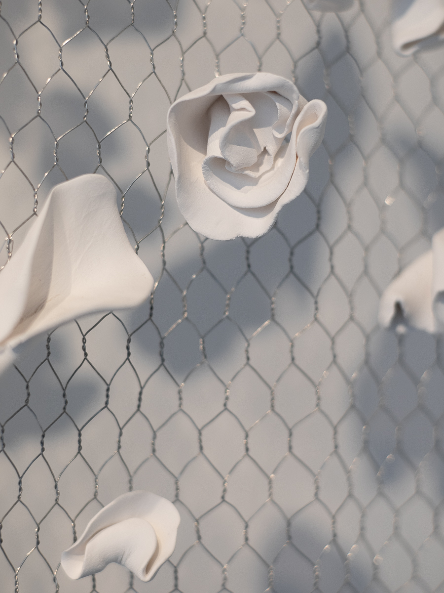 Vue de l'exposition "Nature Fragile" de Louise Frydman | Image © Emilie Mathé Nicolas / Loo & Lou Gallery