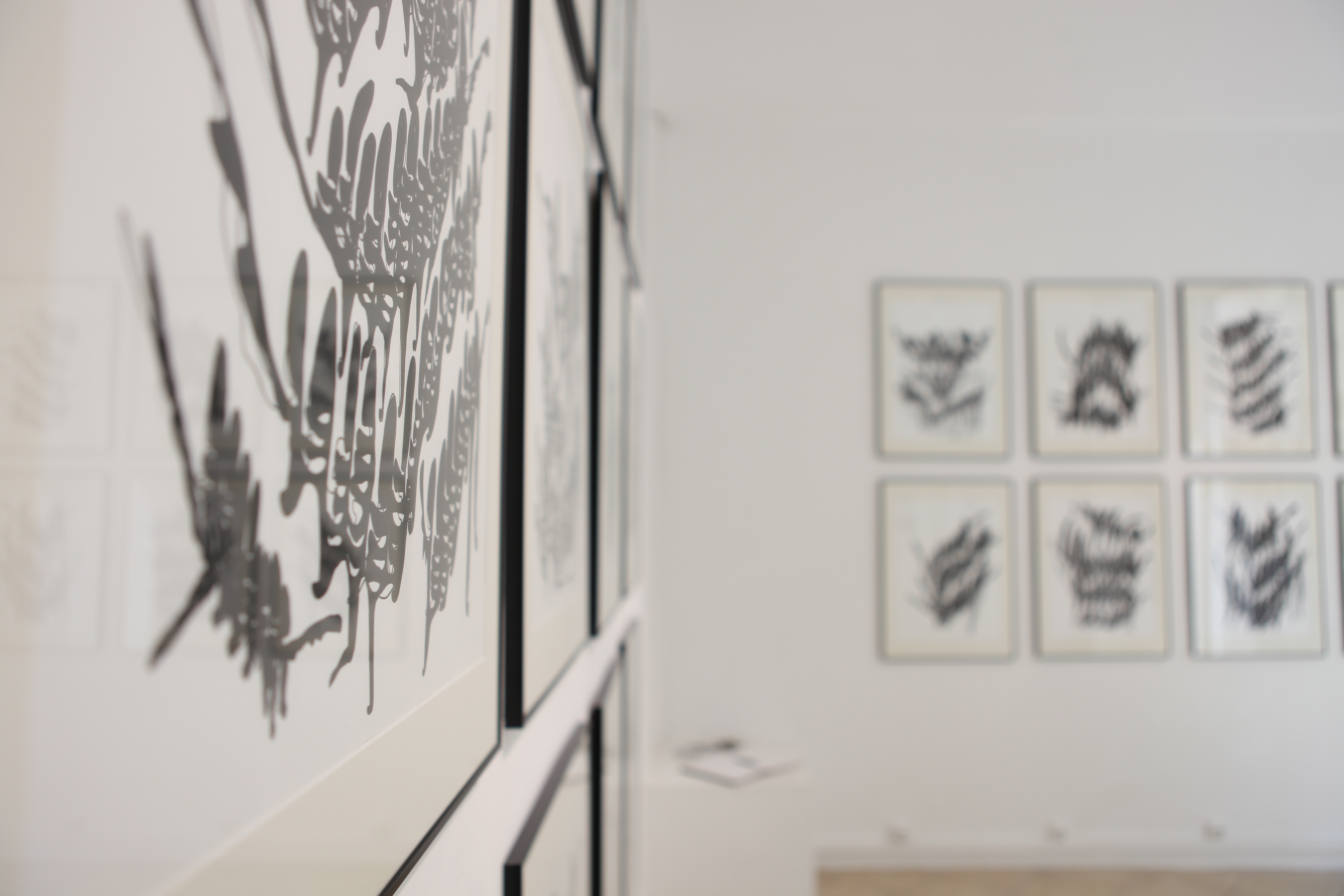 Vue d'exposition. ©Loo and Lou Gallery