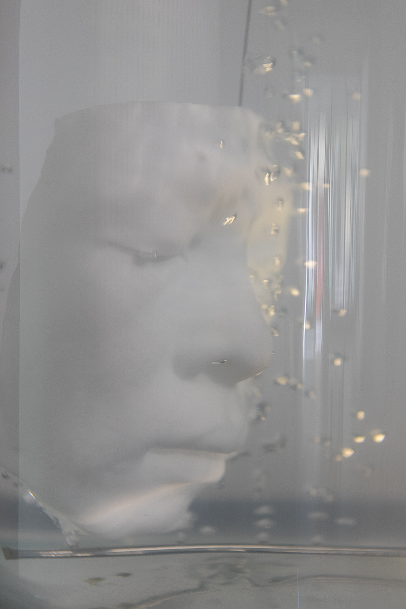 Soul in the Shell (détail), 2016, Silicone, verre, métal, 200 x 40 x 40 cm © Loo & Lou Gallery