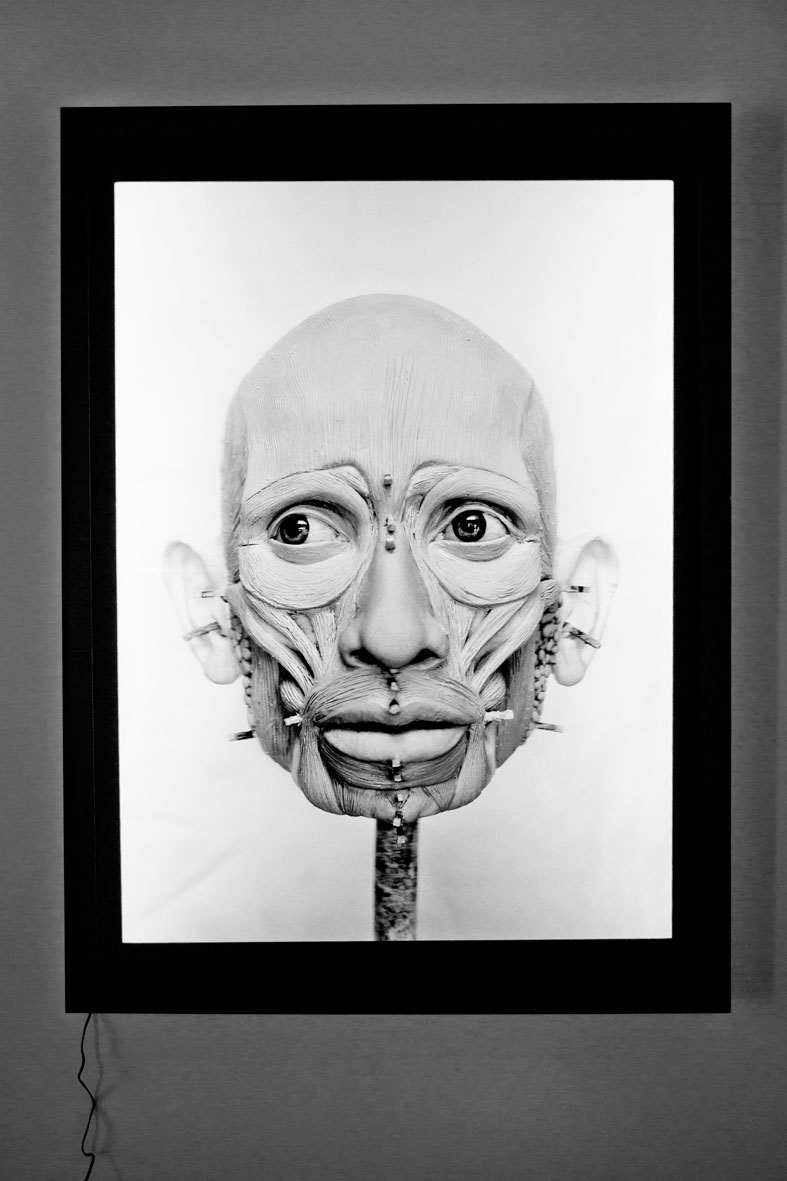 Human II, 2015, Lenticular array, Alioscopy system, 130 x 95 x 7 cm © Elisabeth Daynès