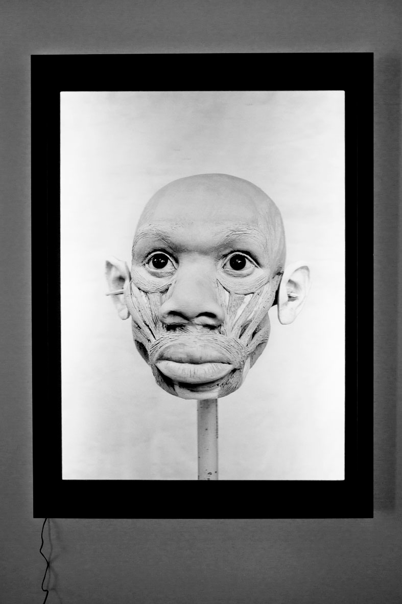 Human VI, 2015, Lenticular array, Alioscopy system, 130 x 95 x 7 cm © Elisabeth Daynès