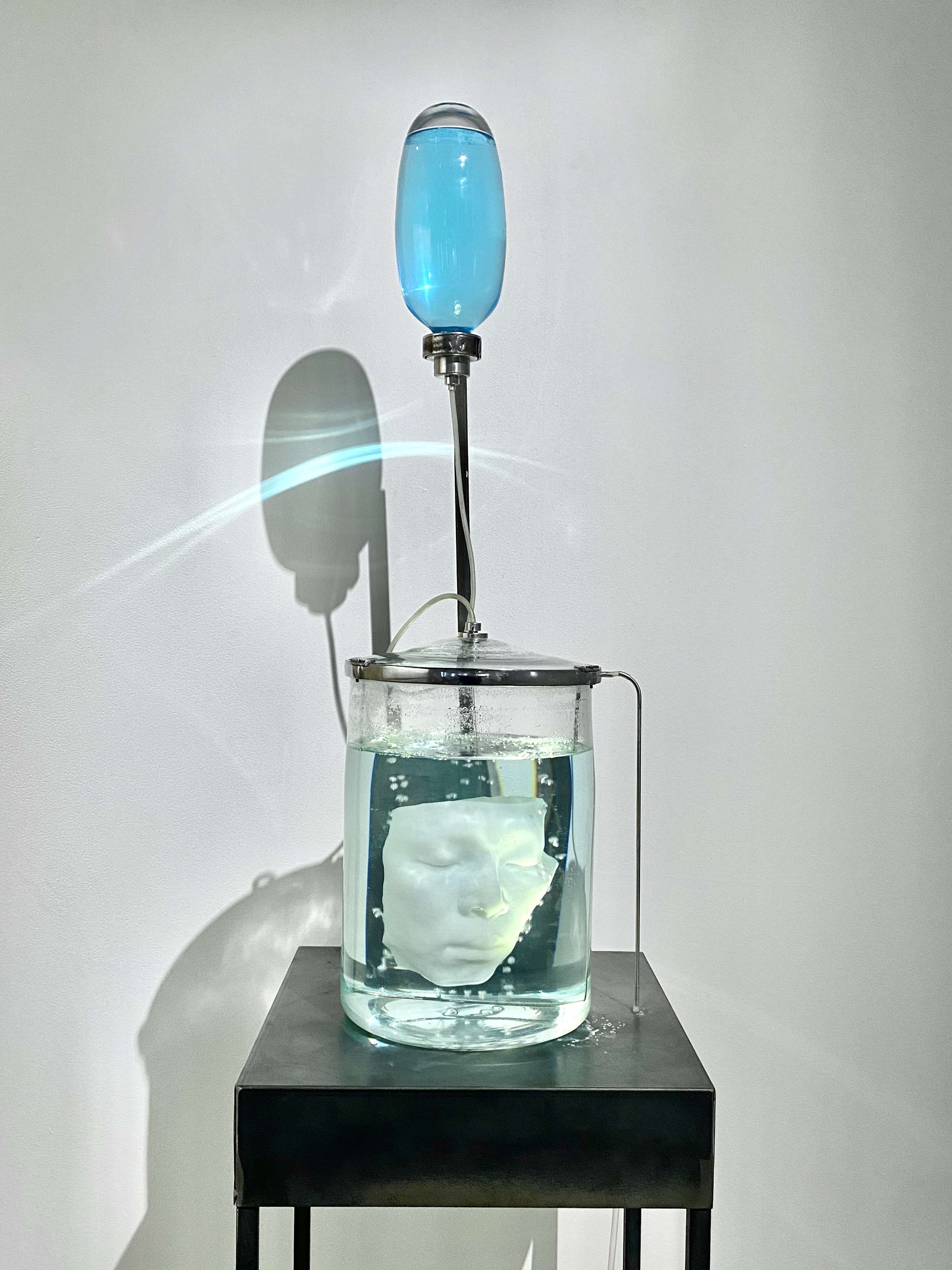 Soul in the Shell, 2016, Silicon, glass, metal, 200 x 40 x 40 cm © Elisabeth Daynès