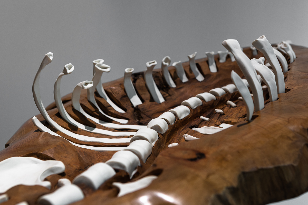 Dissectio (2015) Bois et porcelaine, 99 x 119 x 80 cm © Loo & Lou Gallery