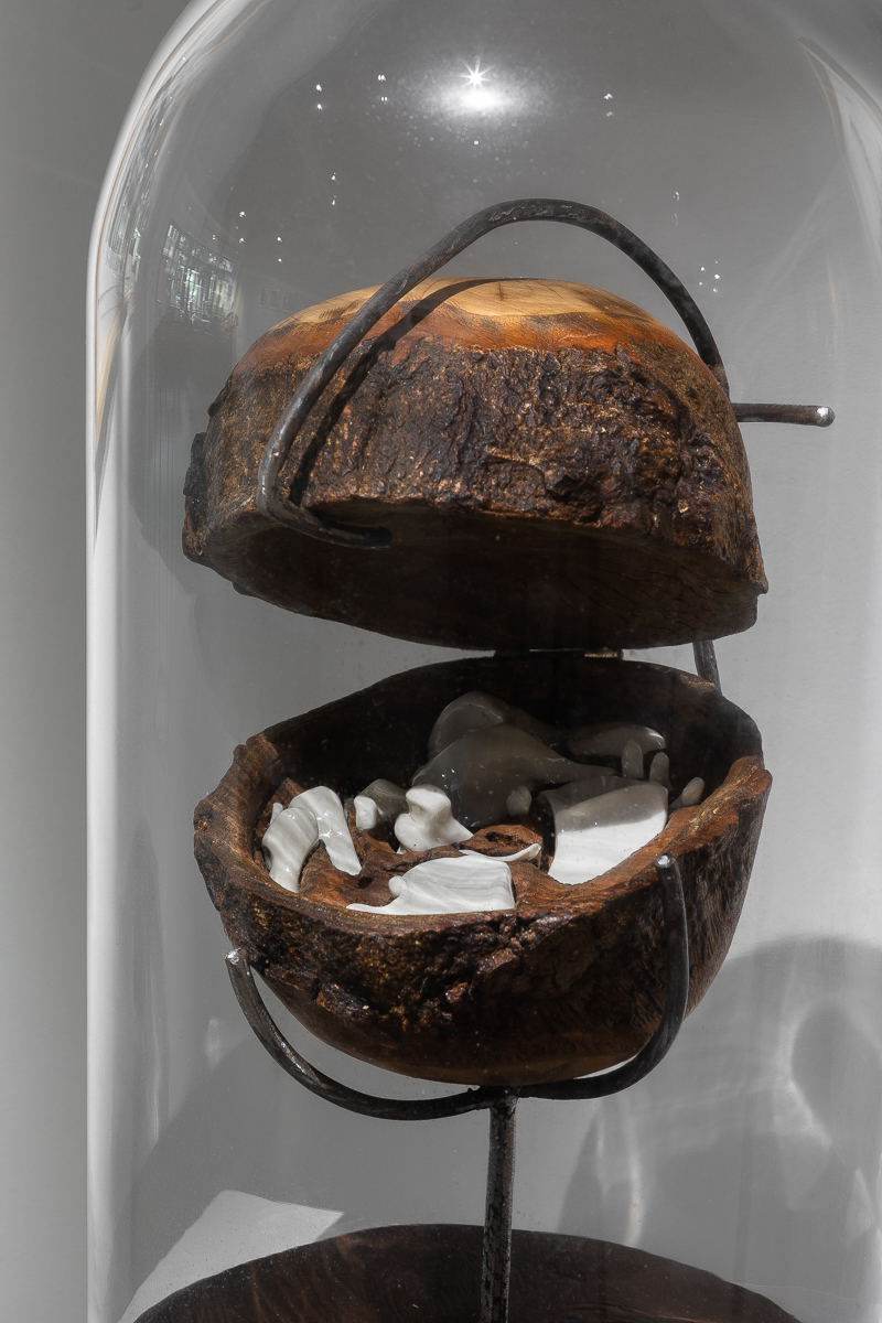 Uterus gravidus II (2015) Porcelaine et bois de cyprès, 44 x 24 cm © Loo & Lou Gallery