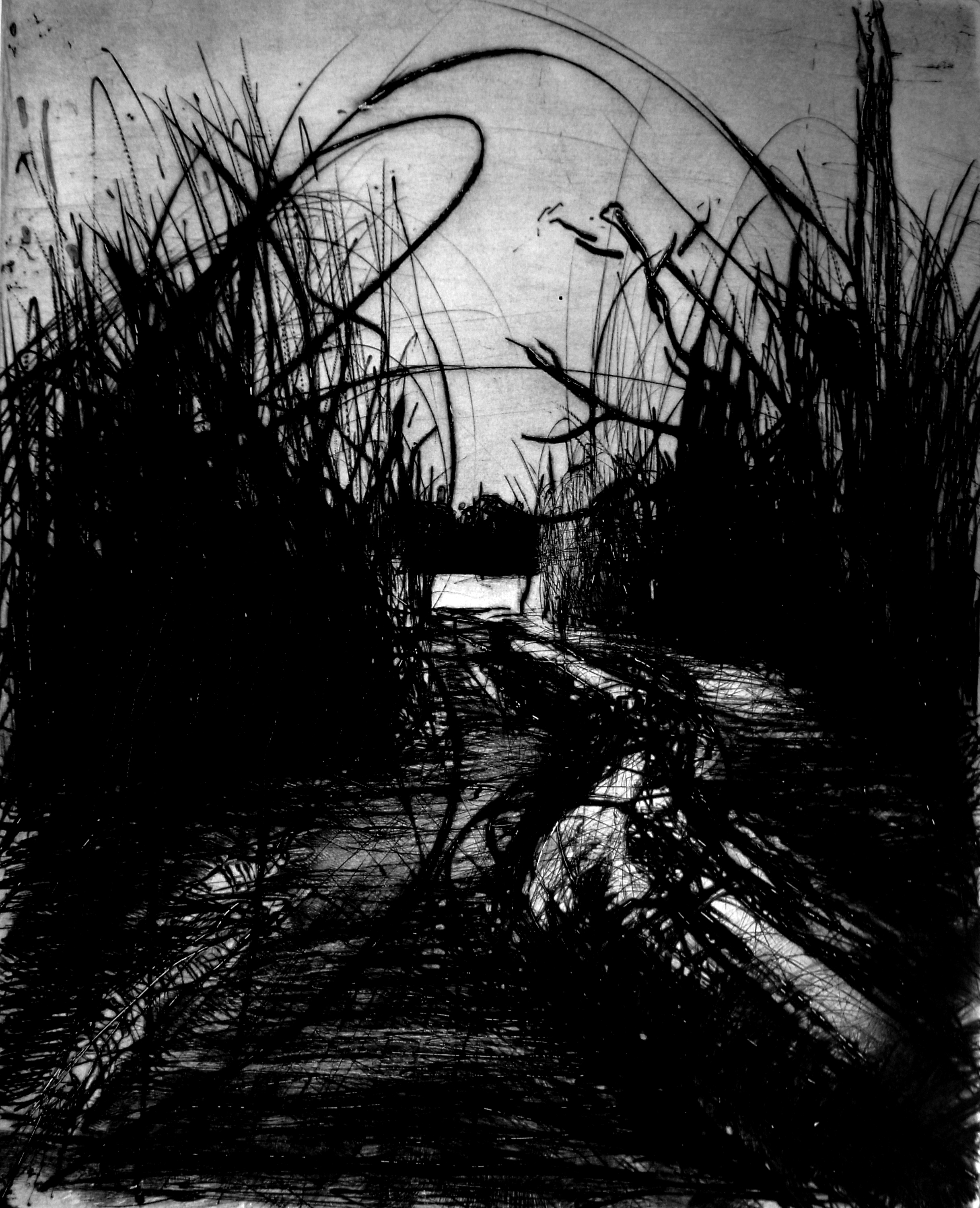 La mare au diable, 2017, 50x40 cm, Pointe sèche © Cedric Le Corf