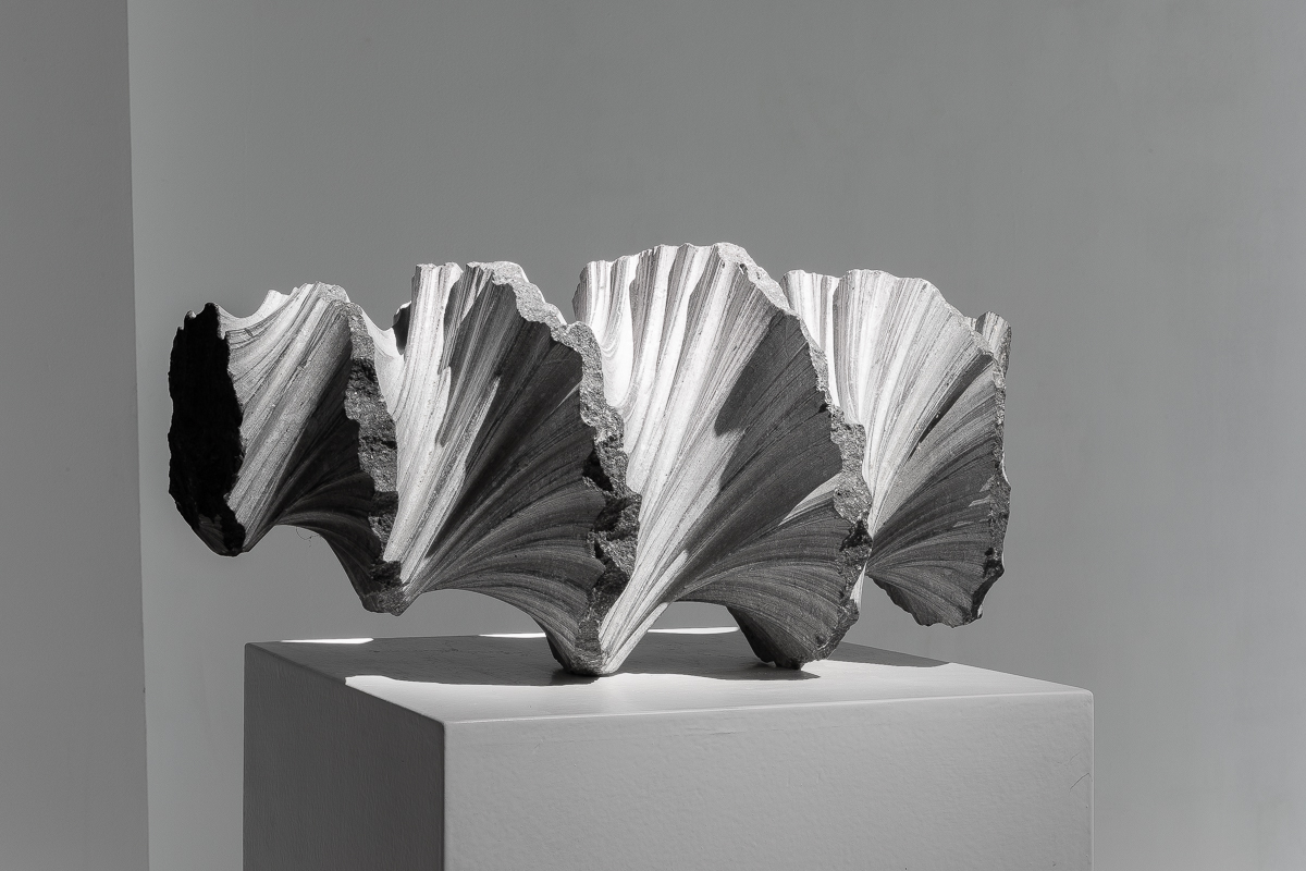 Vue de l'exposition "Être en Nature" de Benoît Luyckx | Image © Emilie Mathé Nicolas / Loo & Lou Gallery