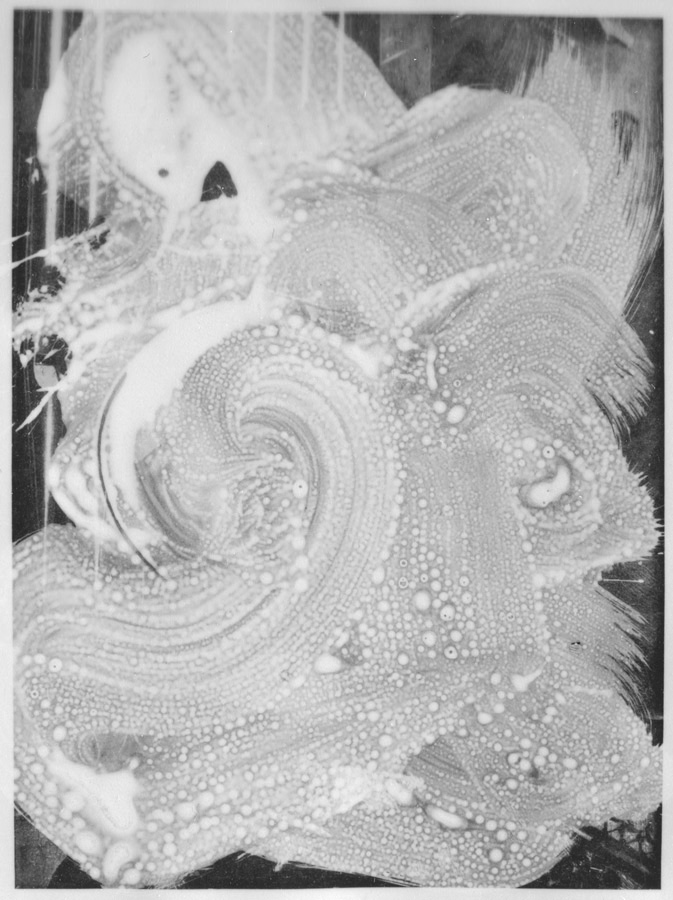 Agneau Mystique des frères Van Eyck - Cosmos 417-01, tirage argentine sur papier baryte matt, traité au sélénium pour la conservation. Exemplaire unique, 136 x 181 cm, 2015