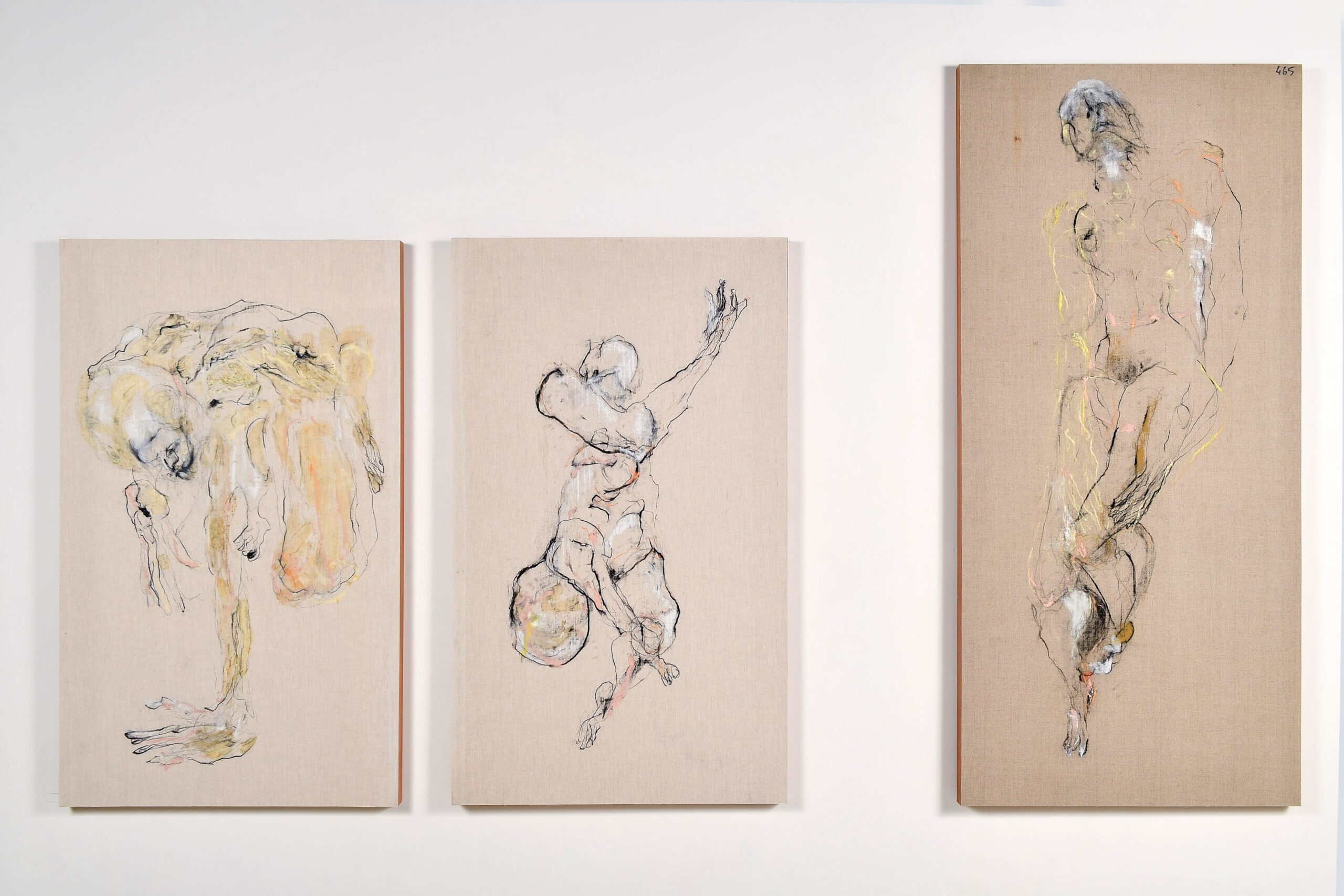 Vue de l'exposition "Métamorphe(s)" d'Arghaël © Stéphane Cardinale