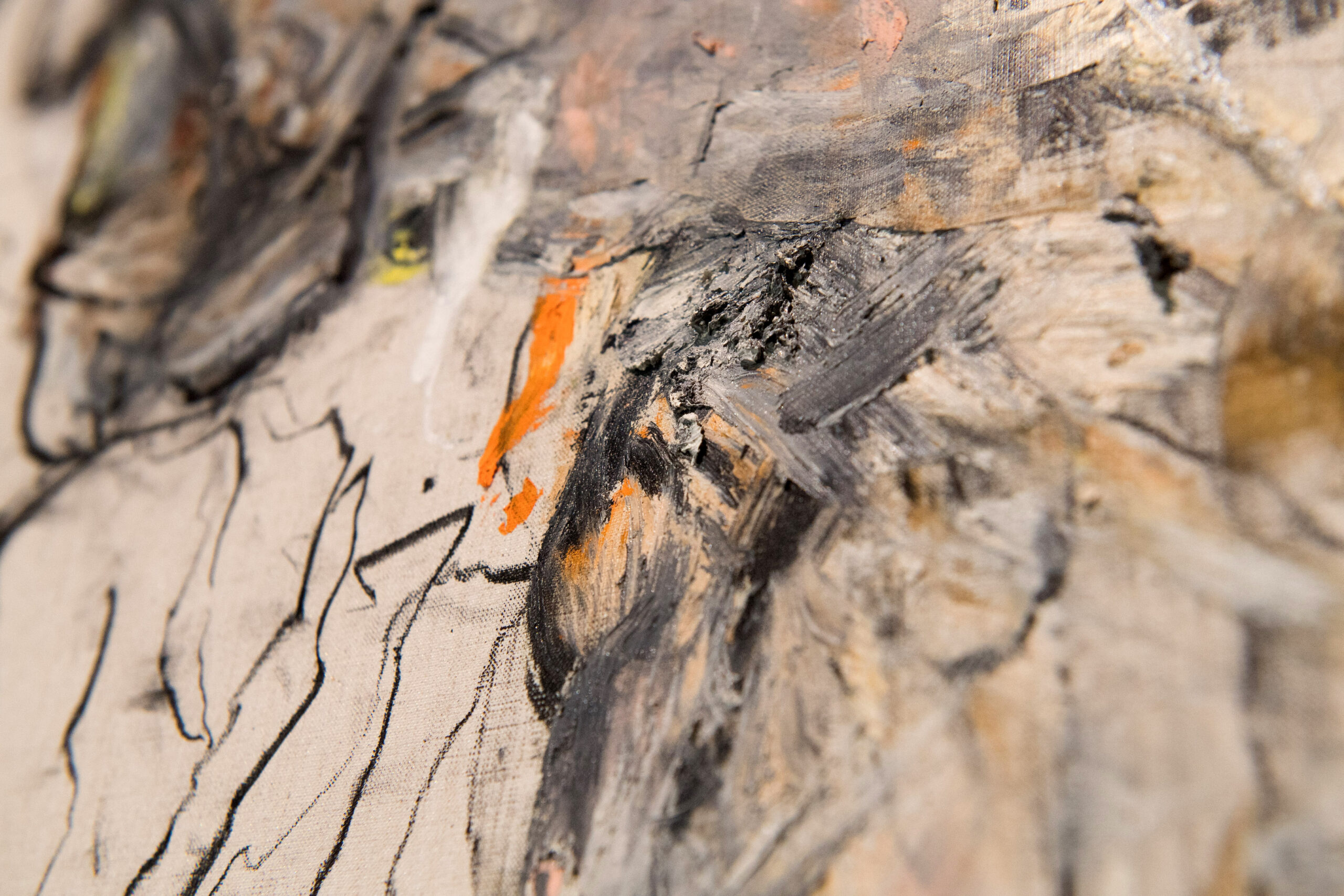Vue de l'exposition "Métamorphe(s)" d'Arghaël © Stéphane Cardinale