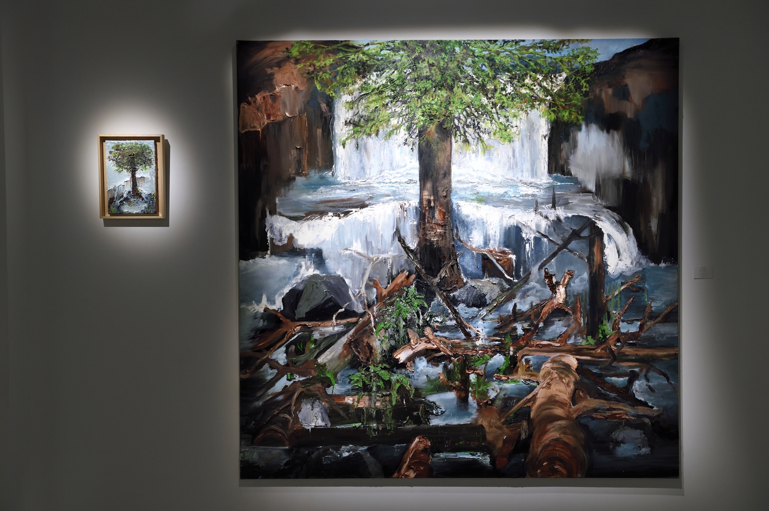 Vue de l'exposition "Germination" de Fred Kleinberg © Loo & Lou Gallery