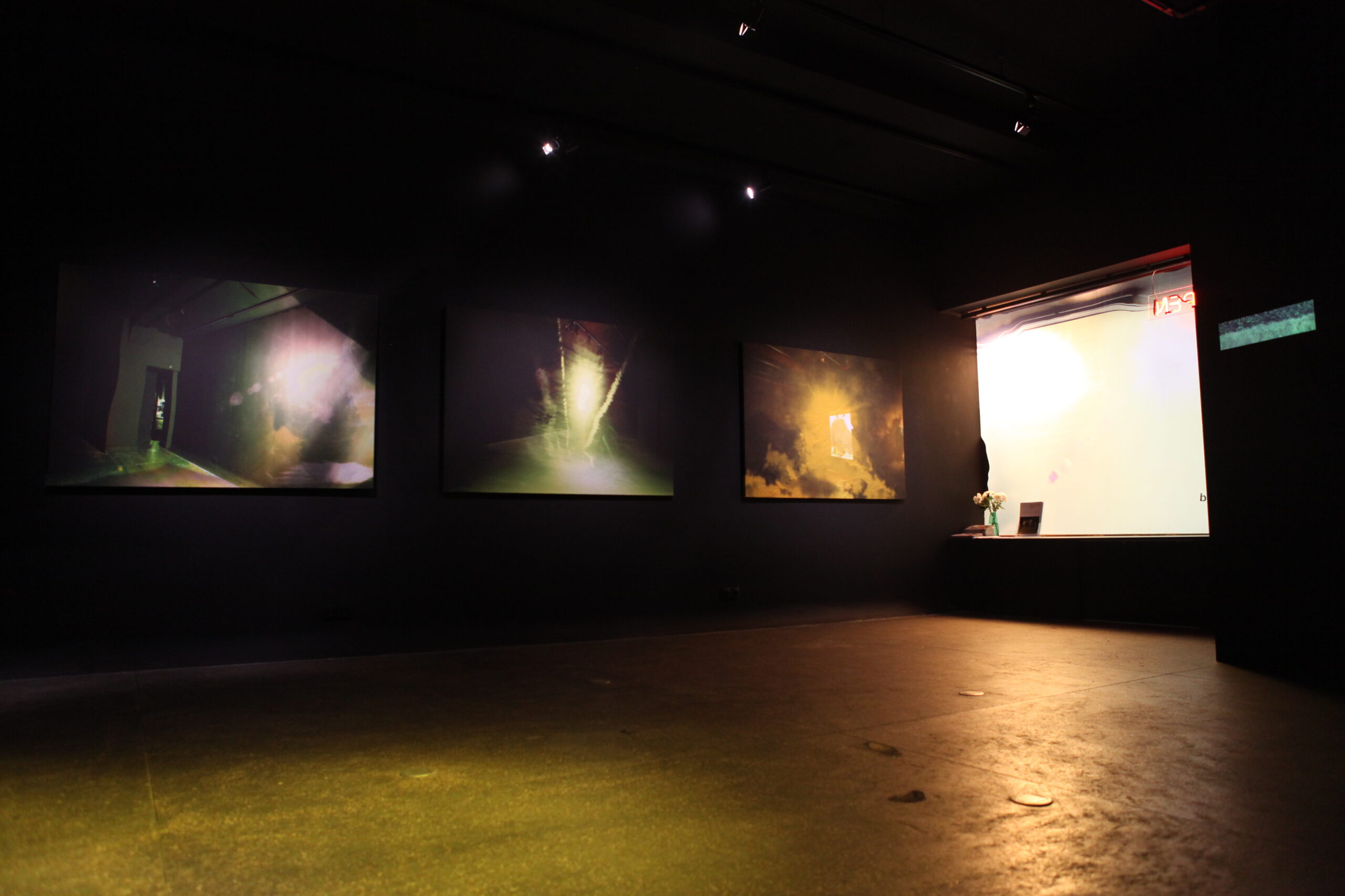 Vue de l'exposition "Ainsi Fond" Pierre Delavie - Galerie Loo and Lou George V © Loo and Lou Gallery