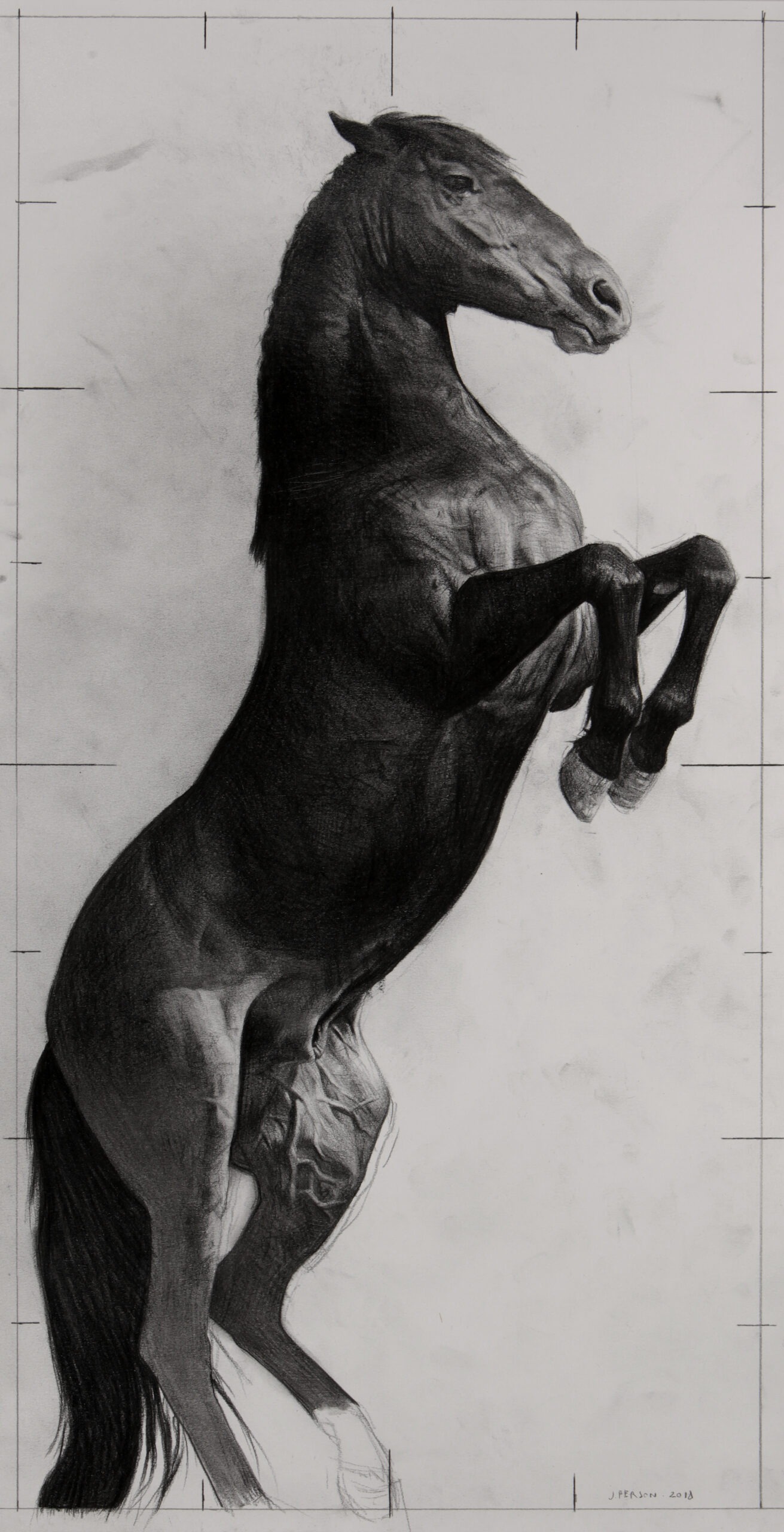 Cheval Dragon 1, 2013, Pierre noire sur papier, 62 x 34 cm