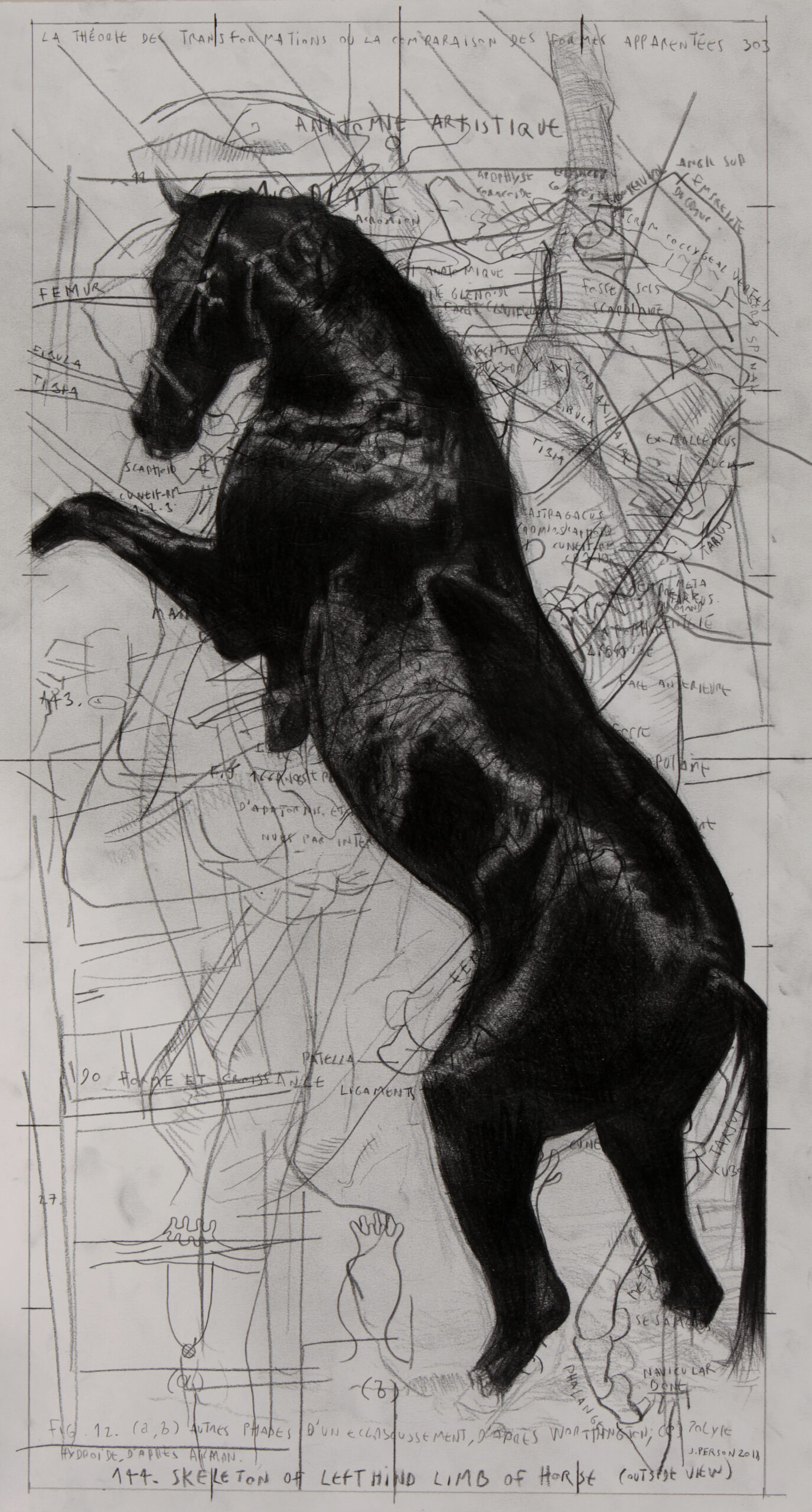 Cheval Dragon 6, 2013, Pierre noire sur papier, 62 x 34 cm