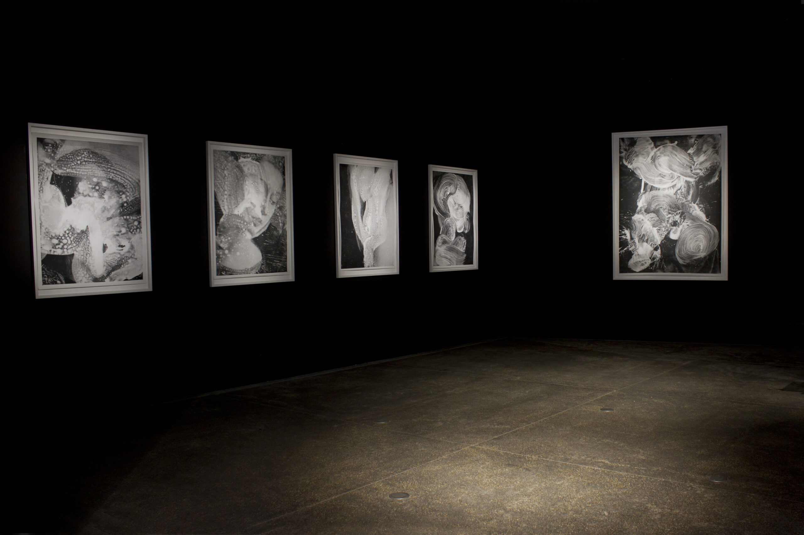 Vue de l'exposition "l'Agneau Mystique", Jean Claude Wouters, 2016