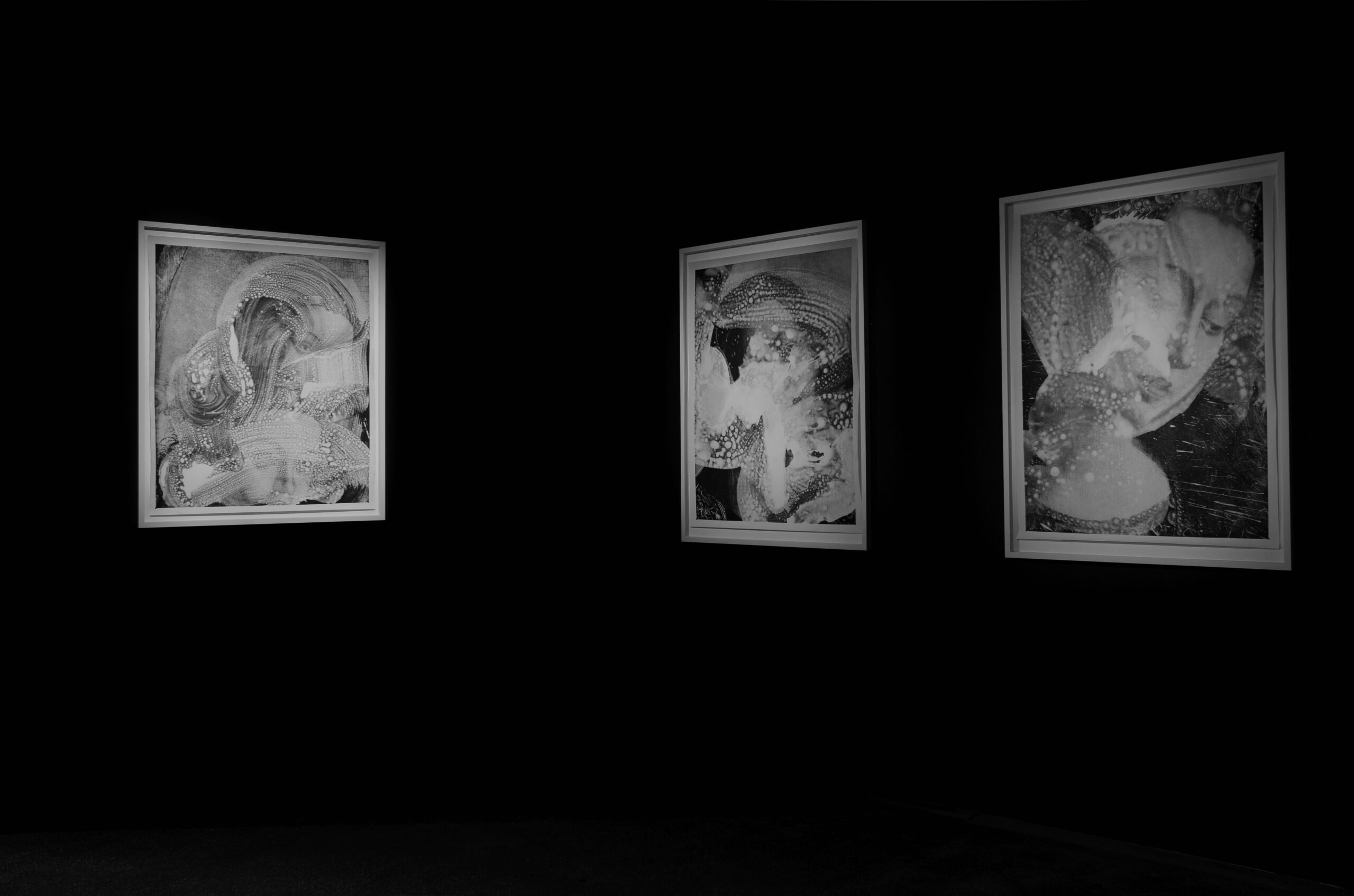 Vue de l'exposition "l'Agneau Mystique", Jean Claude Wouters, 2016