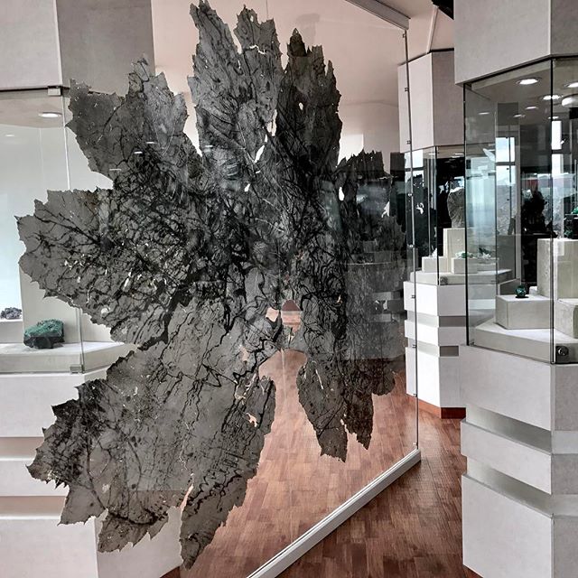 Vue de l’exposition Urpflänze, Museo Internacional De La Esmeralda, Bogota, Colombie