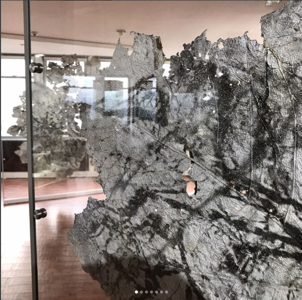 Vue de l’exposition Urpflänze, Museo Internacional De La Esmeralda, Bogota, Colombie