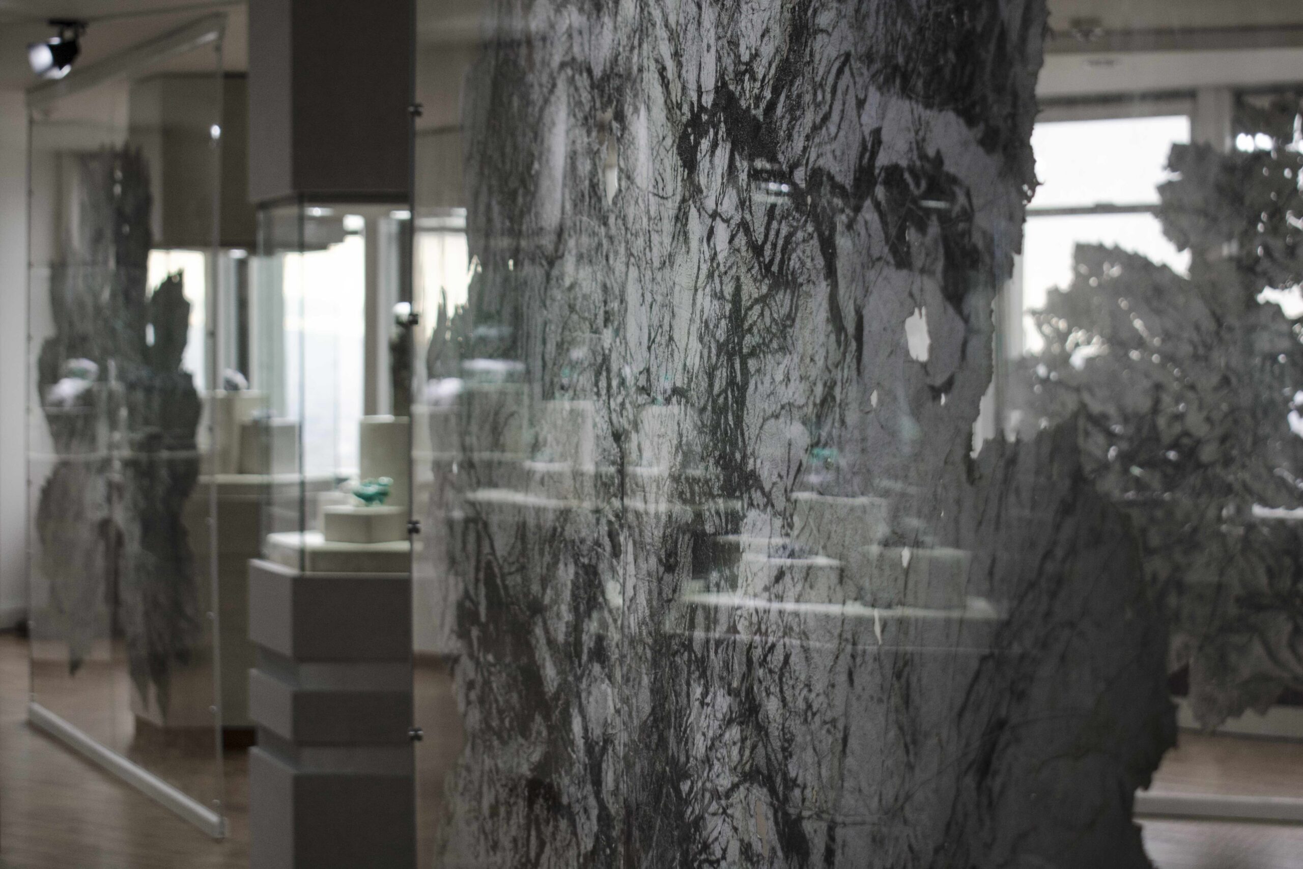 Vue de l’exposition Urpflänze, Museo Internacional De La Esmeralda, Bogota, Colombie