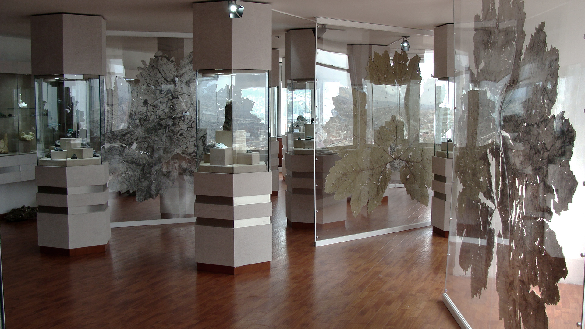 Vue de l’exposition Urpflänze, Museo Internacional De La Esmeralda, Bogota, Colombie