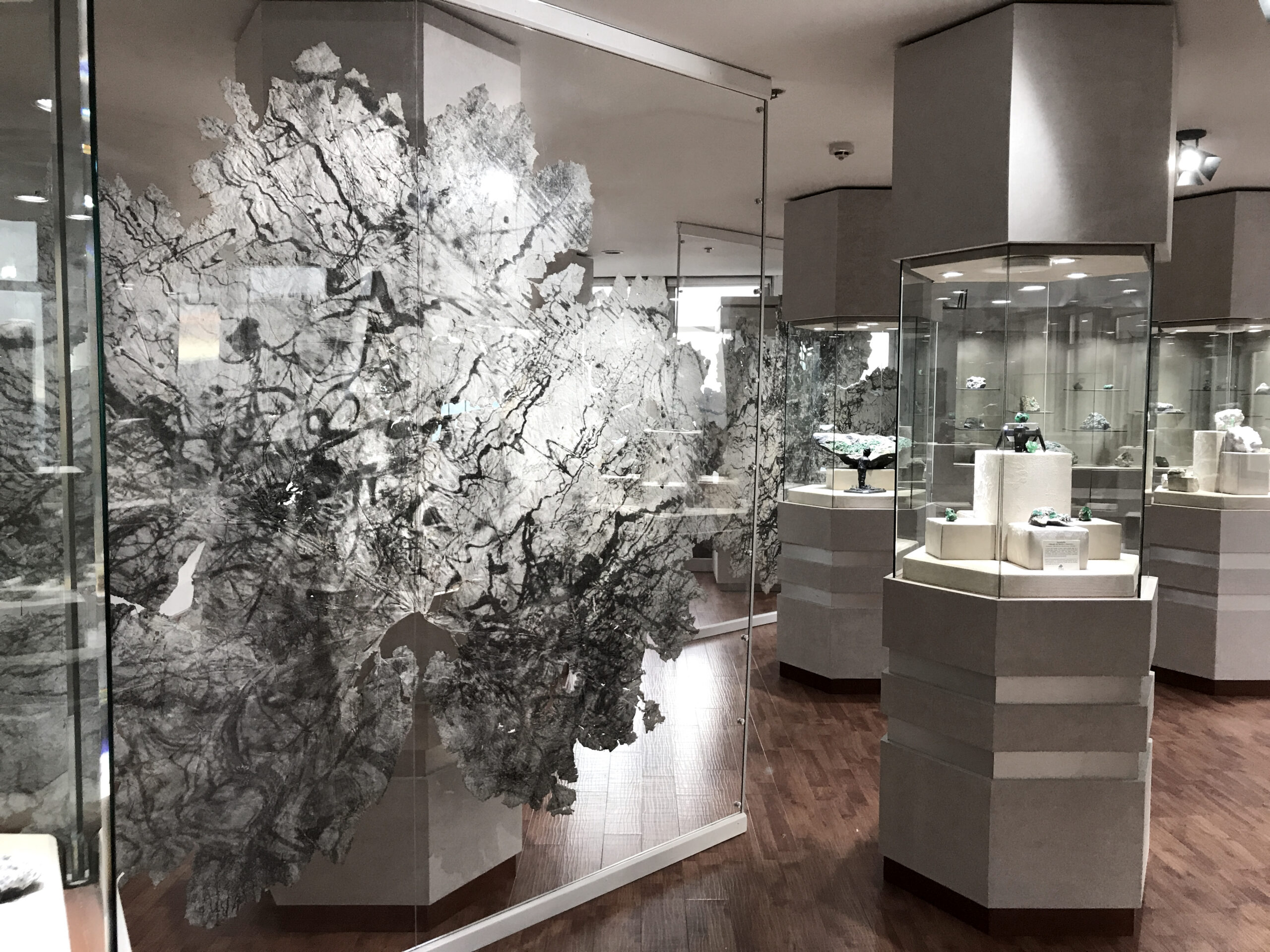 Vue de l’exposition Urpflänze, Museo Internacional De La Esmeralda, Bogota, Colombie