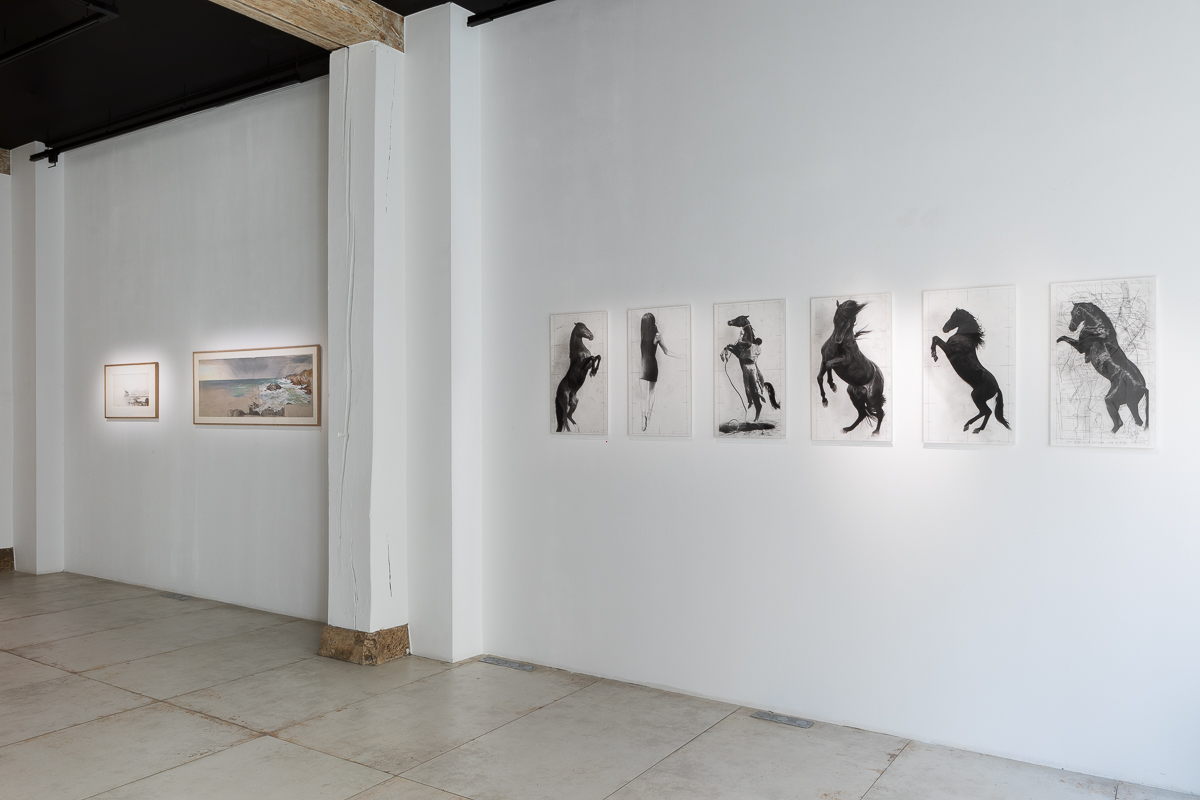 Vue d'exposition, Coastline, Les Déferlantes, Série Cheval Dragon | Image © Emilie Mathé Nicolas