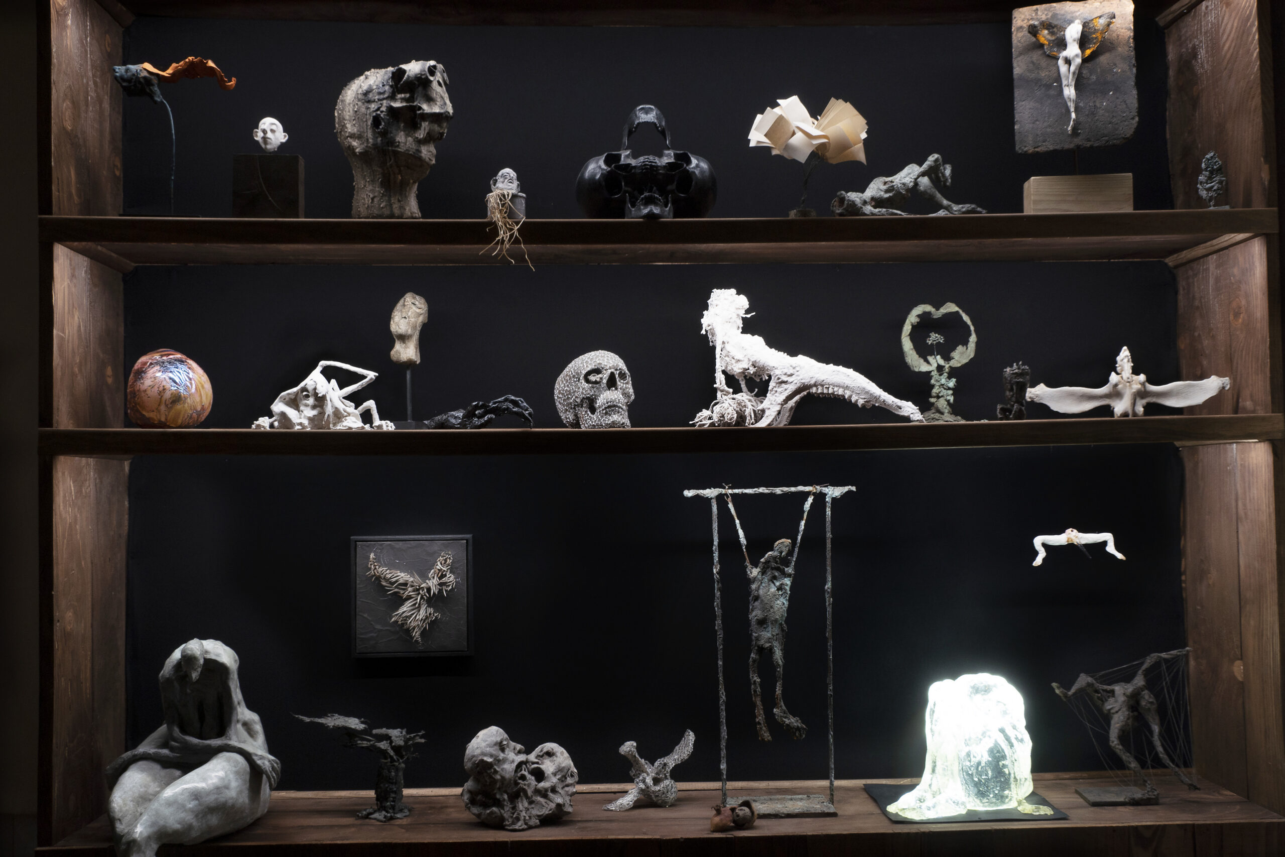 Cabinet de curiosités, Exposition "Arborescences" | Château de Chambord