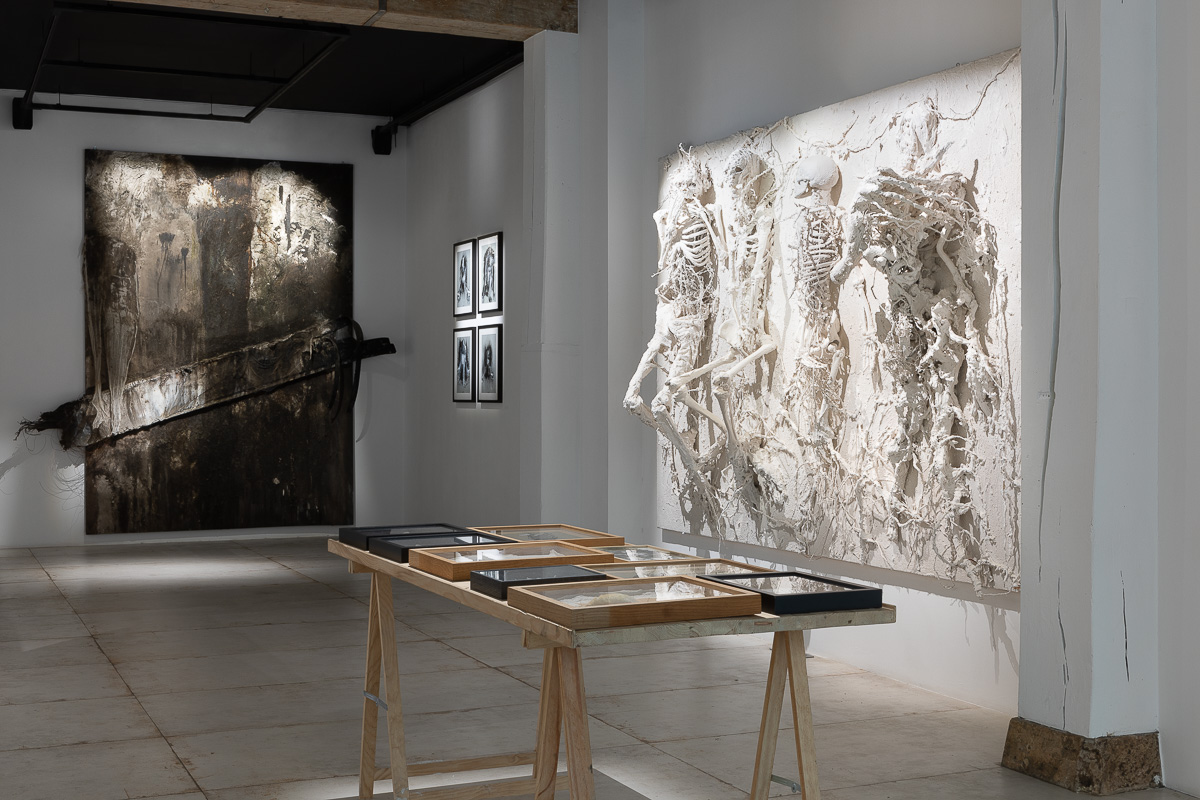 Vue de l'exposition "Lianescences" de Lydie Arickx | Image : Emilie Mathé Nicolas