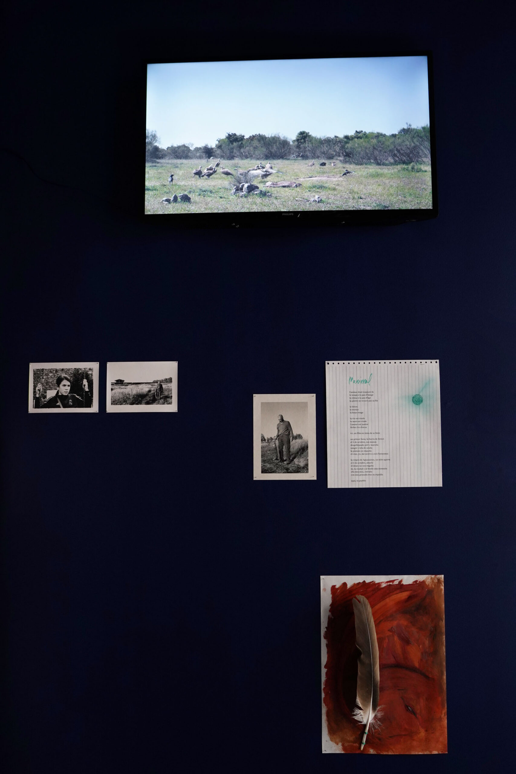 Alberto Martín Menacho | Image © Alexandra Gilliams