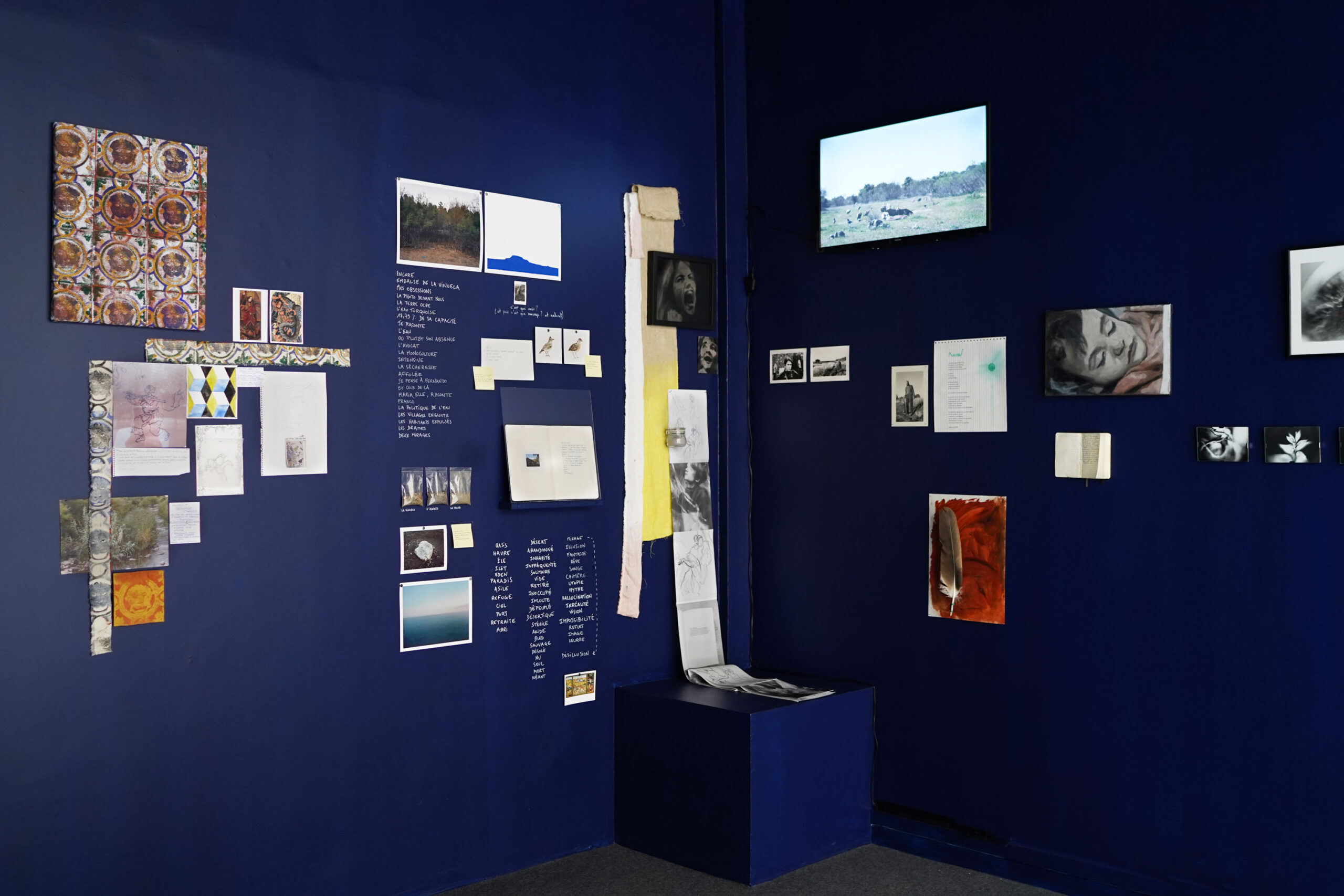 Vue de l'exposition | Image © Alexandra Gilliams