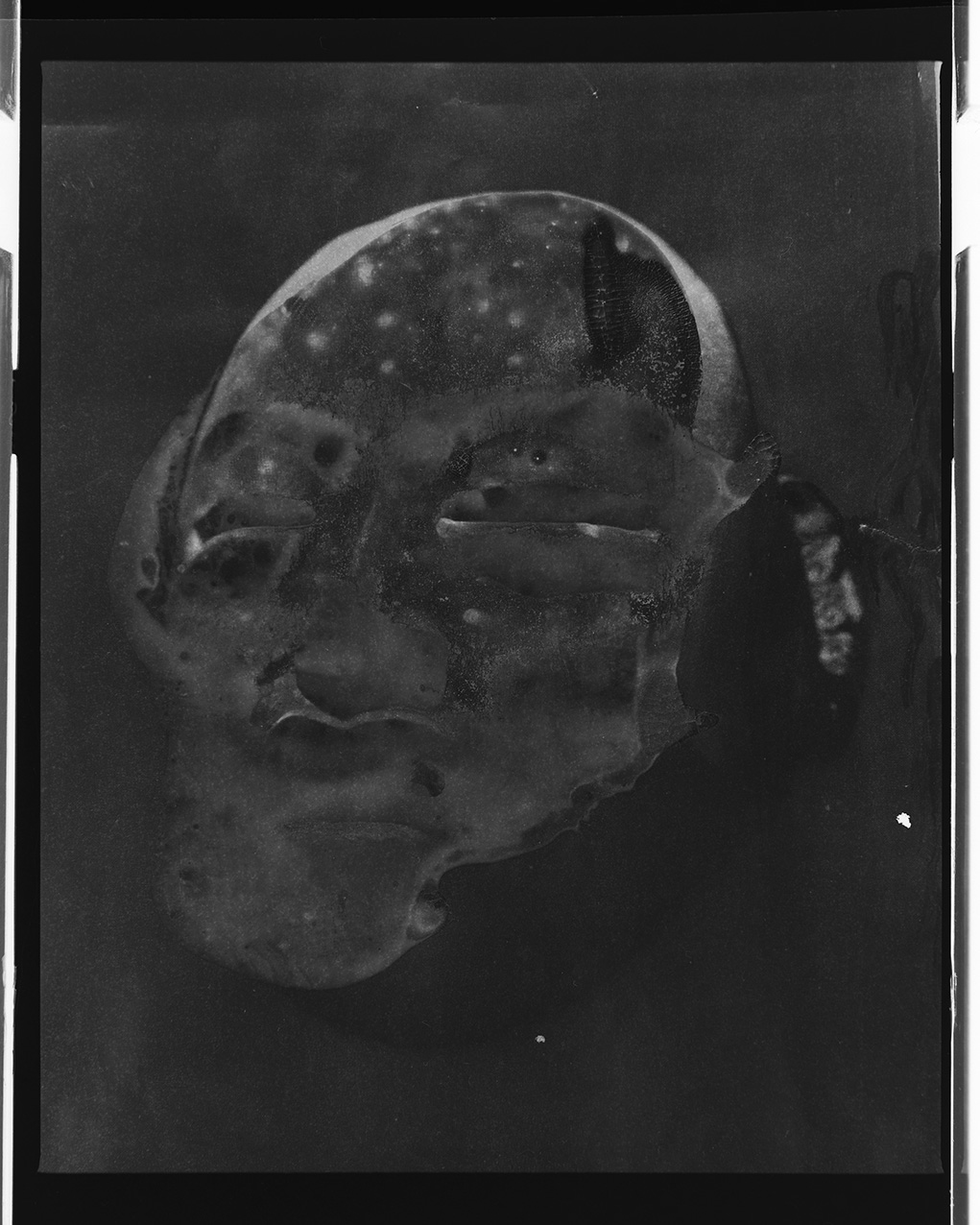 Masque noir 452-16, 2021, Tirage argentique sur papier baryté, 125 x 160 cm
