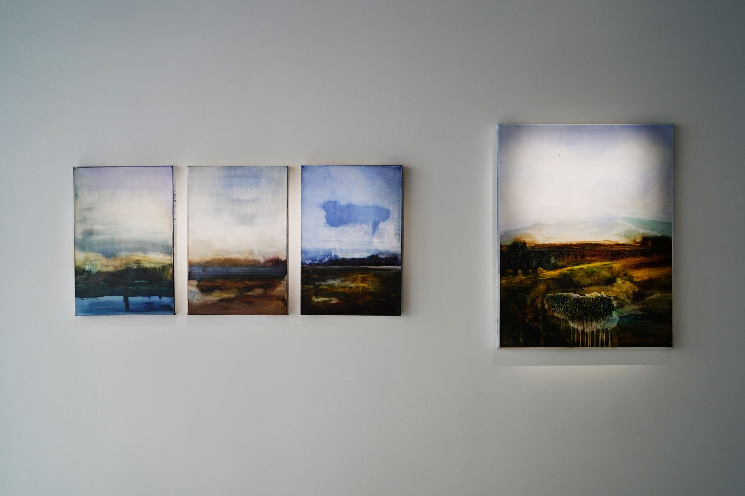 Vue de l'exposition | Image : Alexandra Gilliams