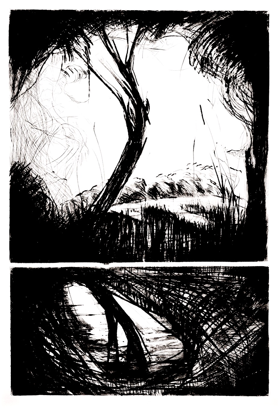 Cedric Le Corf, La Mare aux diables, 2022, Drypoint and etching, 65 x 110 cm