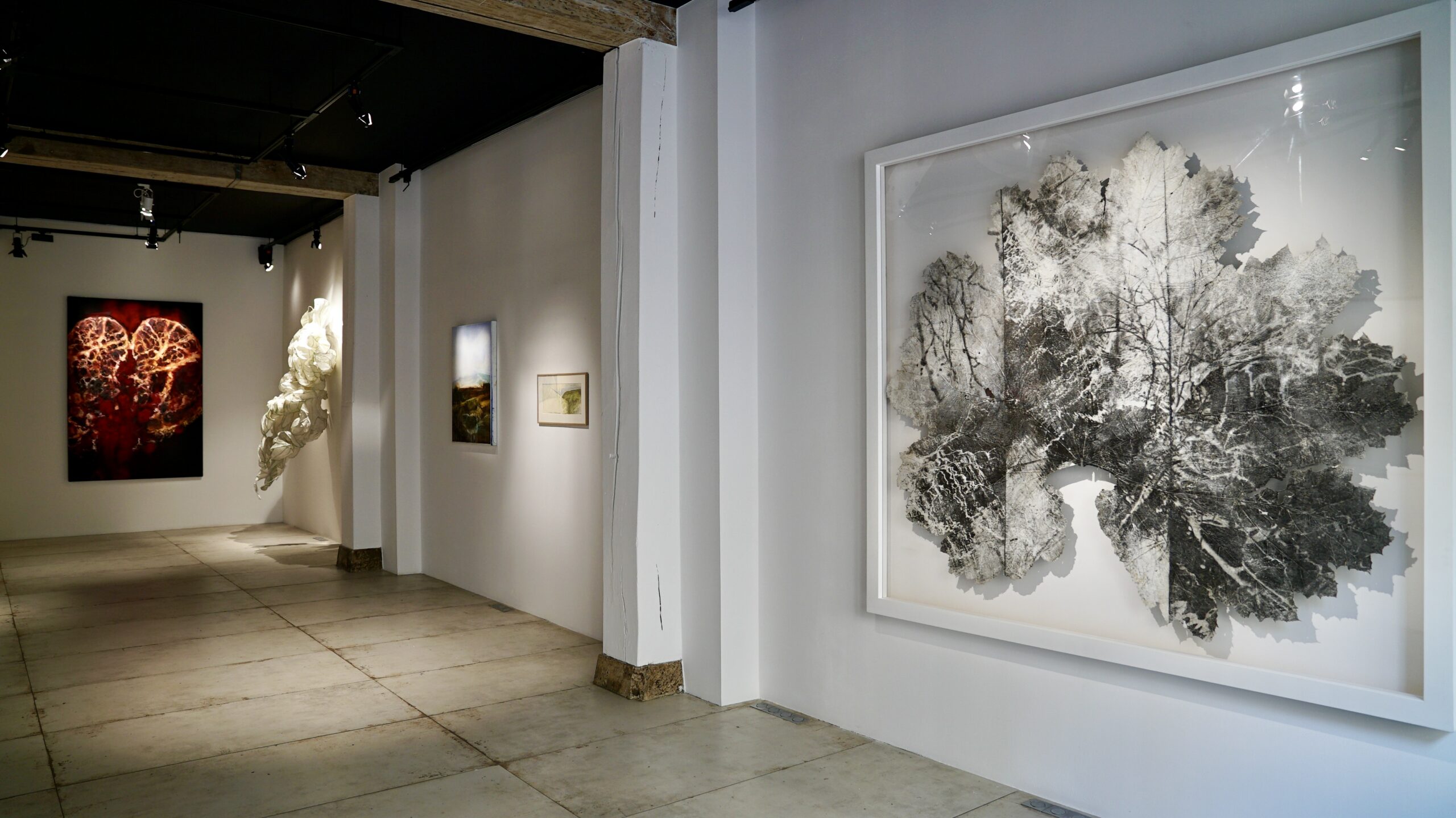 Vue de l'exposition ©François Benichou-Mahé