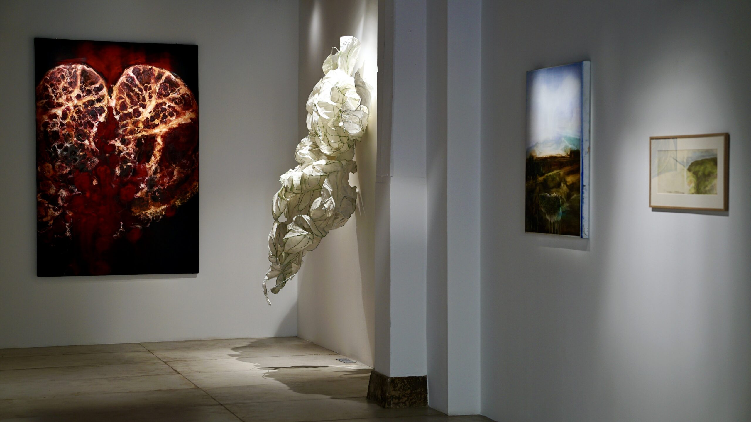 Vue de l'exposition ©François Benichou-Mahé