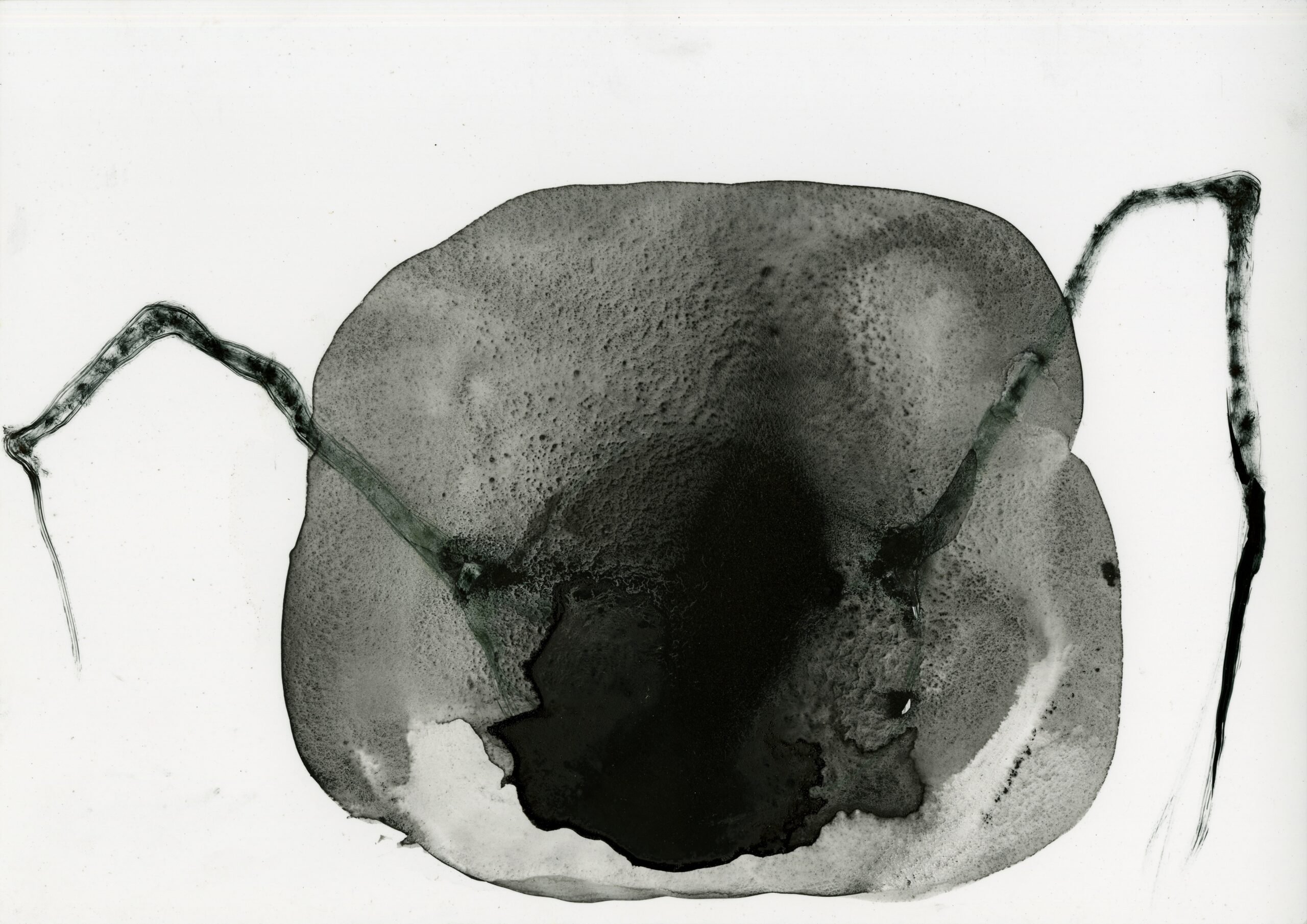 Sans titre 15, 2023, Technique mixte, 29,7 x 21 cm | © Biancharickx production